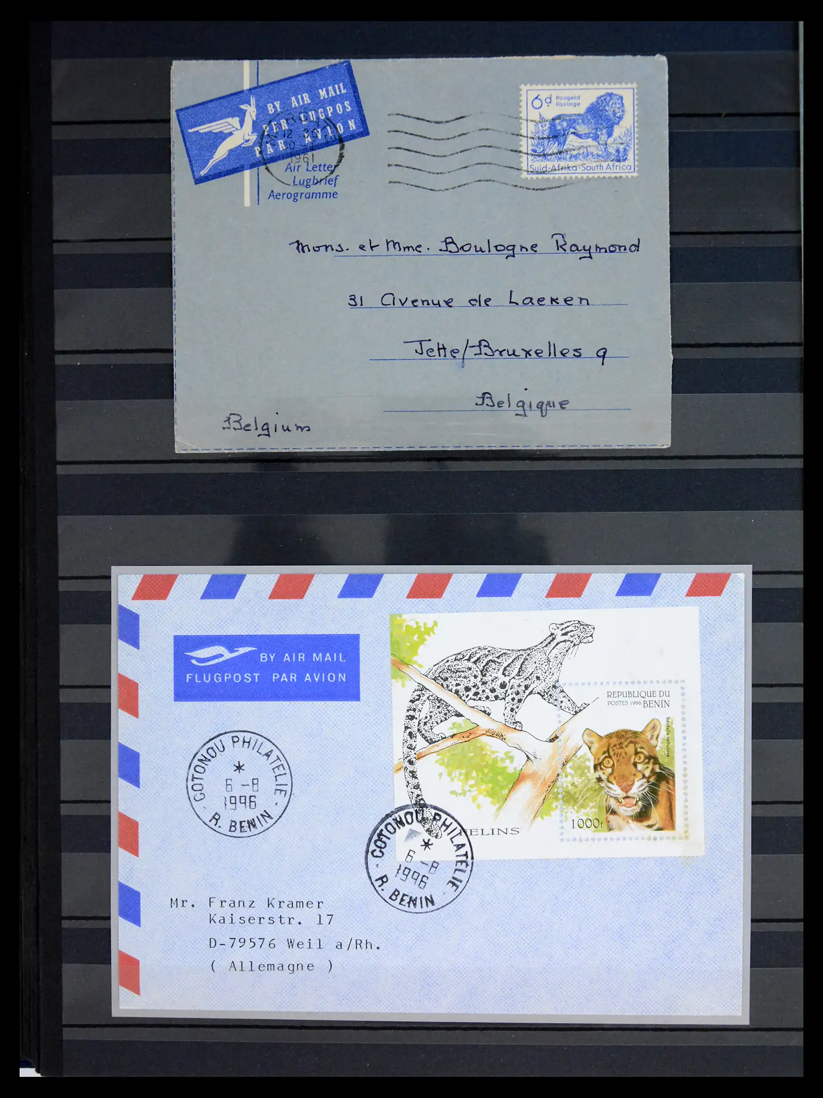 40971 0035 - Stamp collection 40971 Thematics lions/tigers 1870-2010.