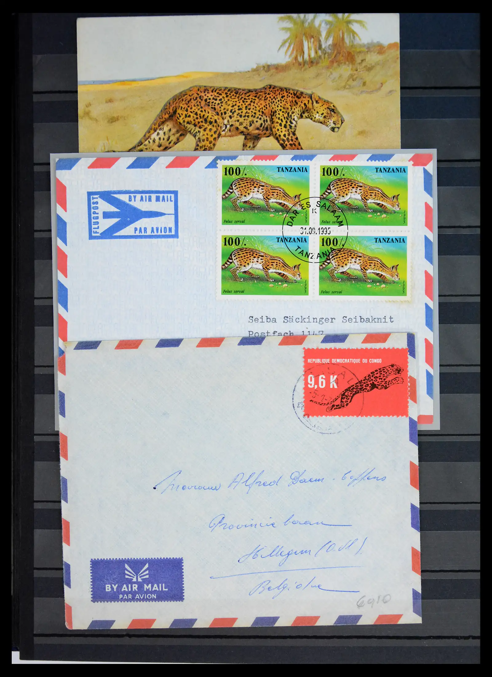 40971 0037 - Stamp collection 40971 Thematics lions/tigers 1870-2010.