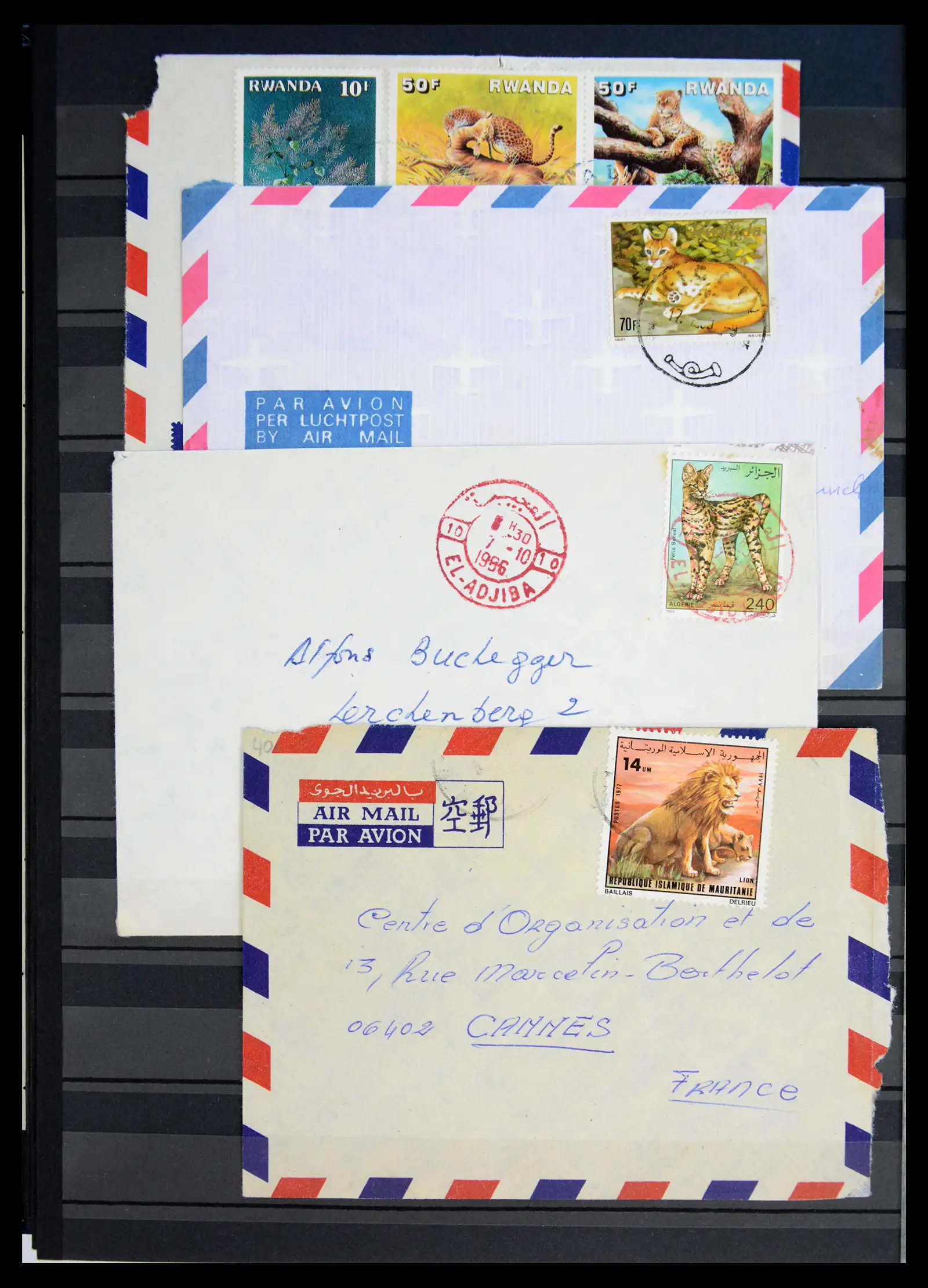40971 0039 - Stamp collection 40971 Thematics lions/tigers 1870-2010.