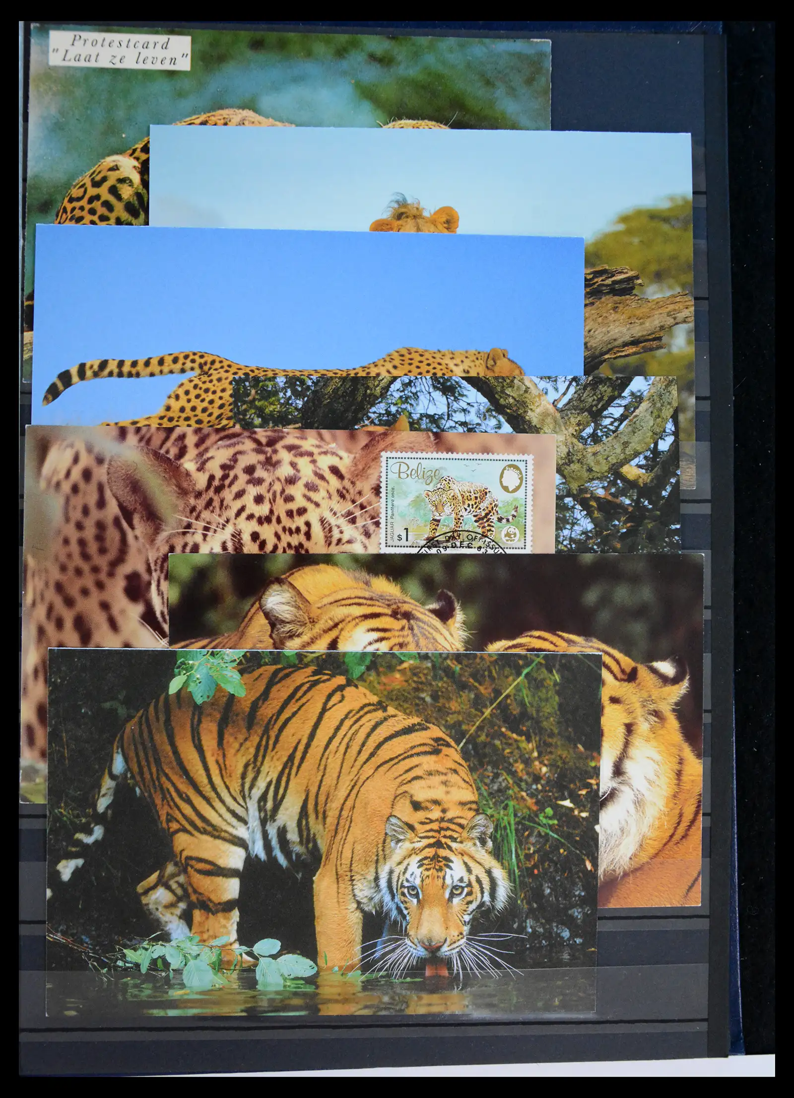 40971 0040 - Stamp collection 40971 Thematics lions/tigers 1870-2010.