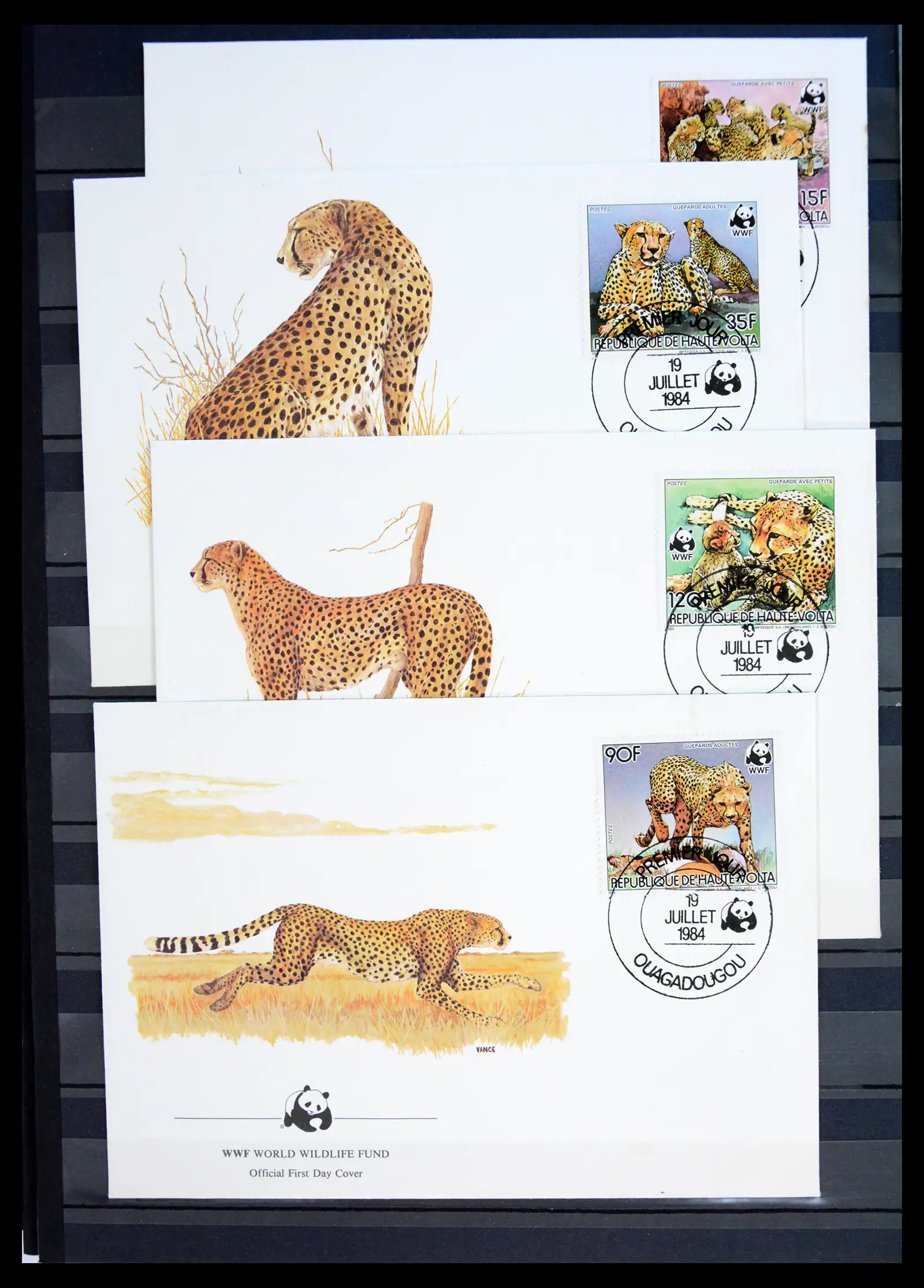 40971 0043 - Stamp collection 40971 Thematics lions/tigers 1870-2010.