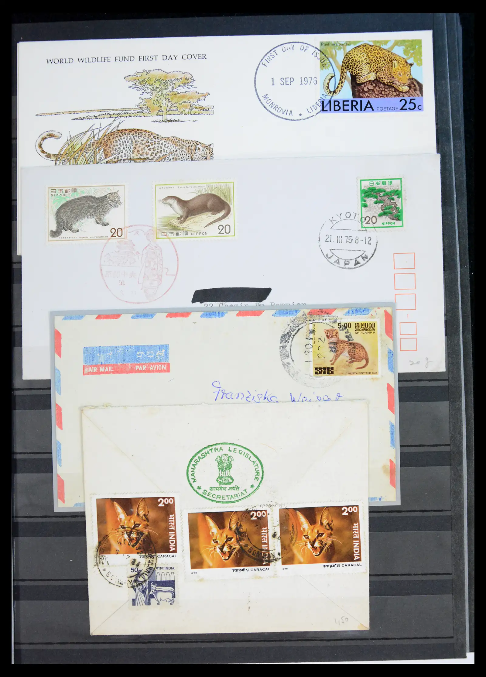 40971 0081 - Stamp collection 40971 Thematics lions/tigers 1870-2010.