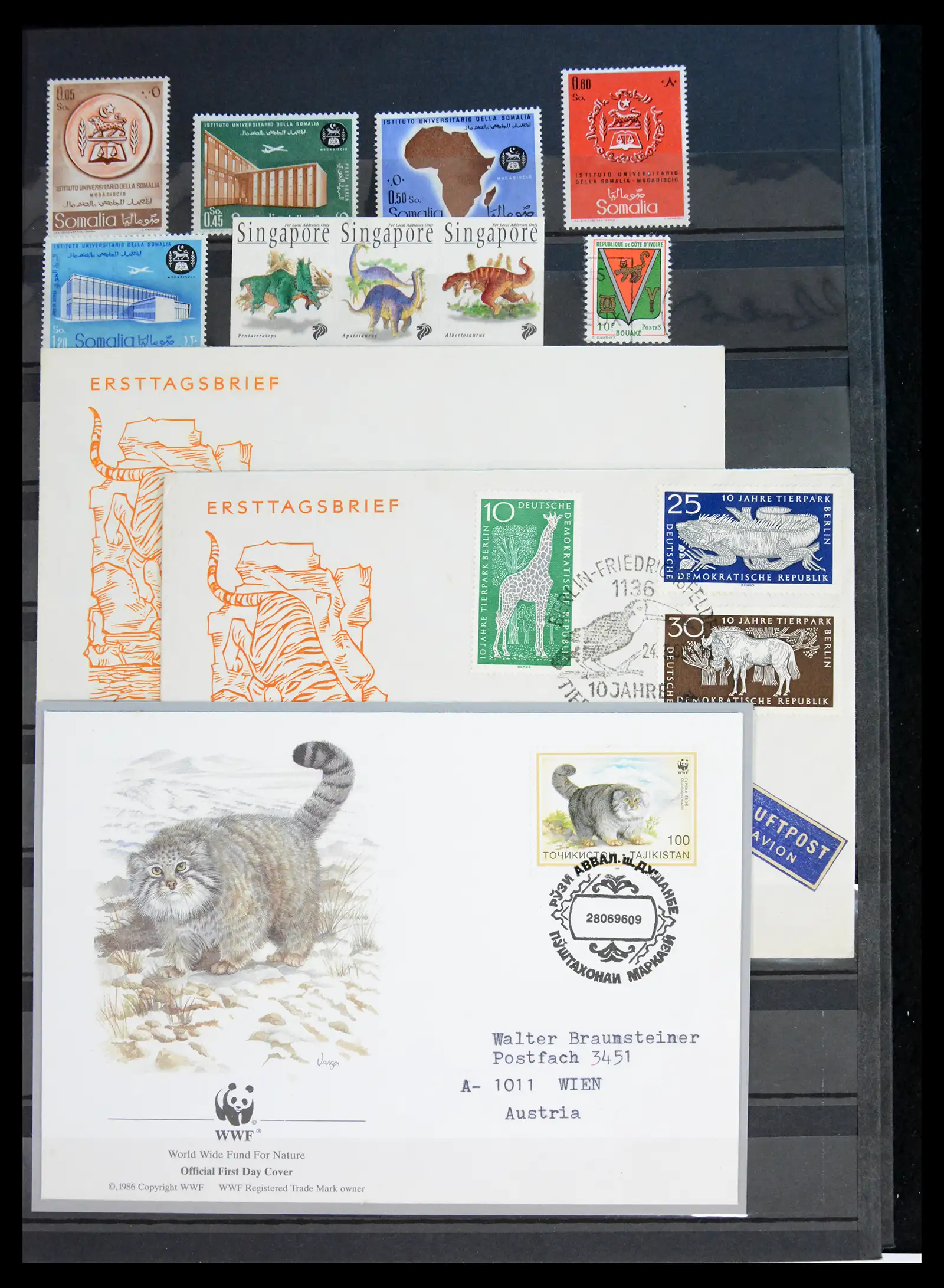 40971 0083 - Stamp collection 40971 Thematics lions/tigers 1870-2010.