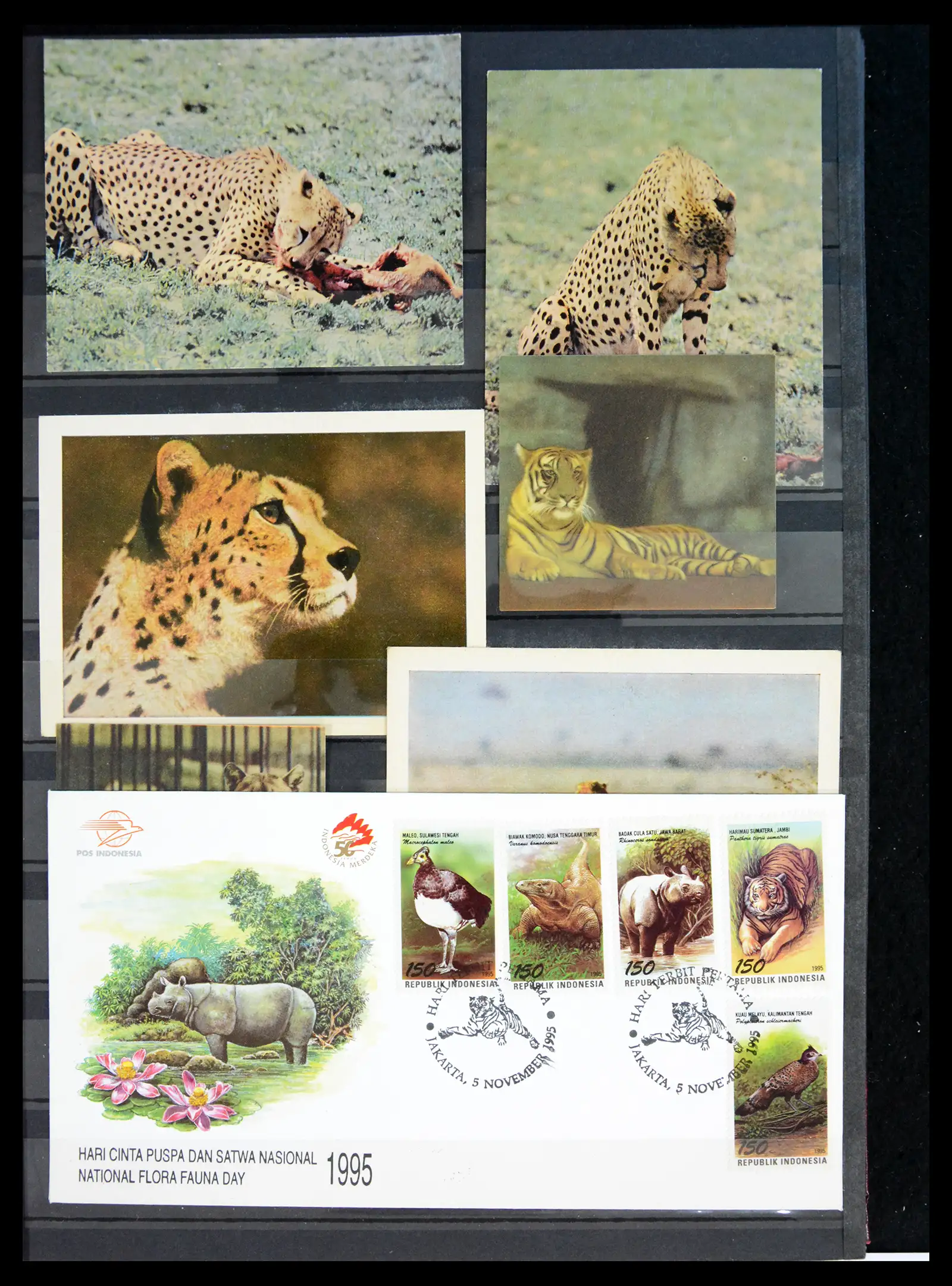 40971 0089 - Stamp collection 40971 Thematics lions/tigers 1870-2010.
