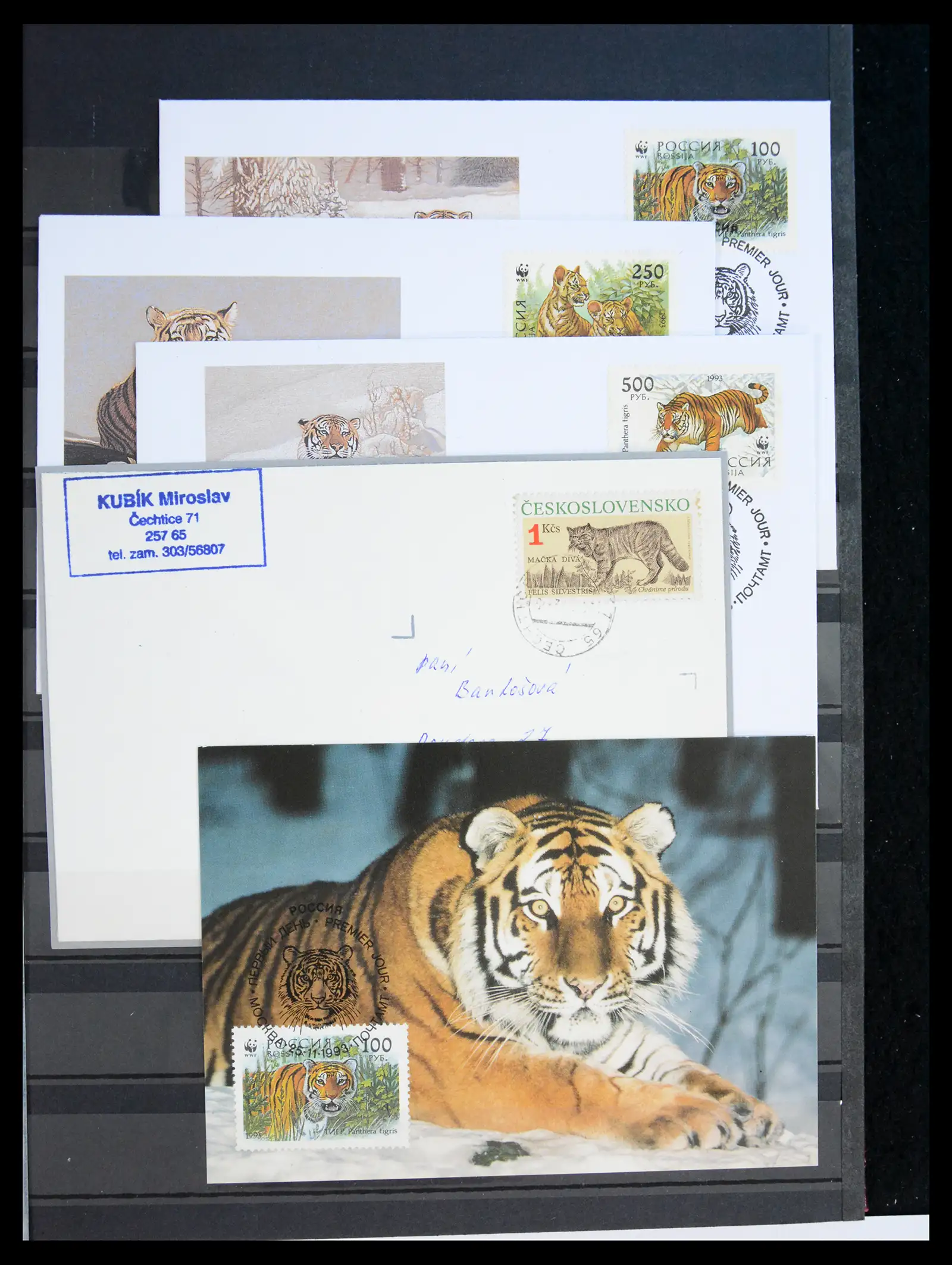 40971 0095 - Stamp collection 40971 Thematics lions/tigers 1870-2010.