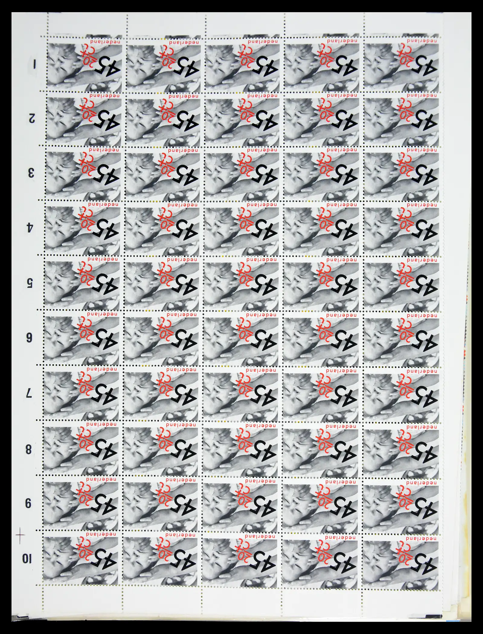 40989 0036