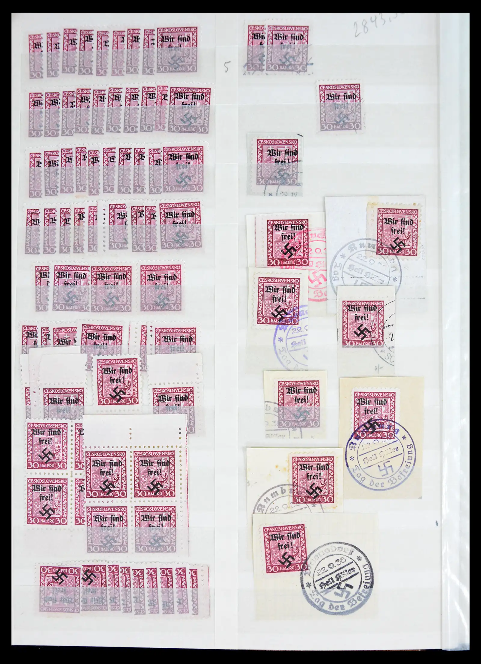 41025 0004