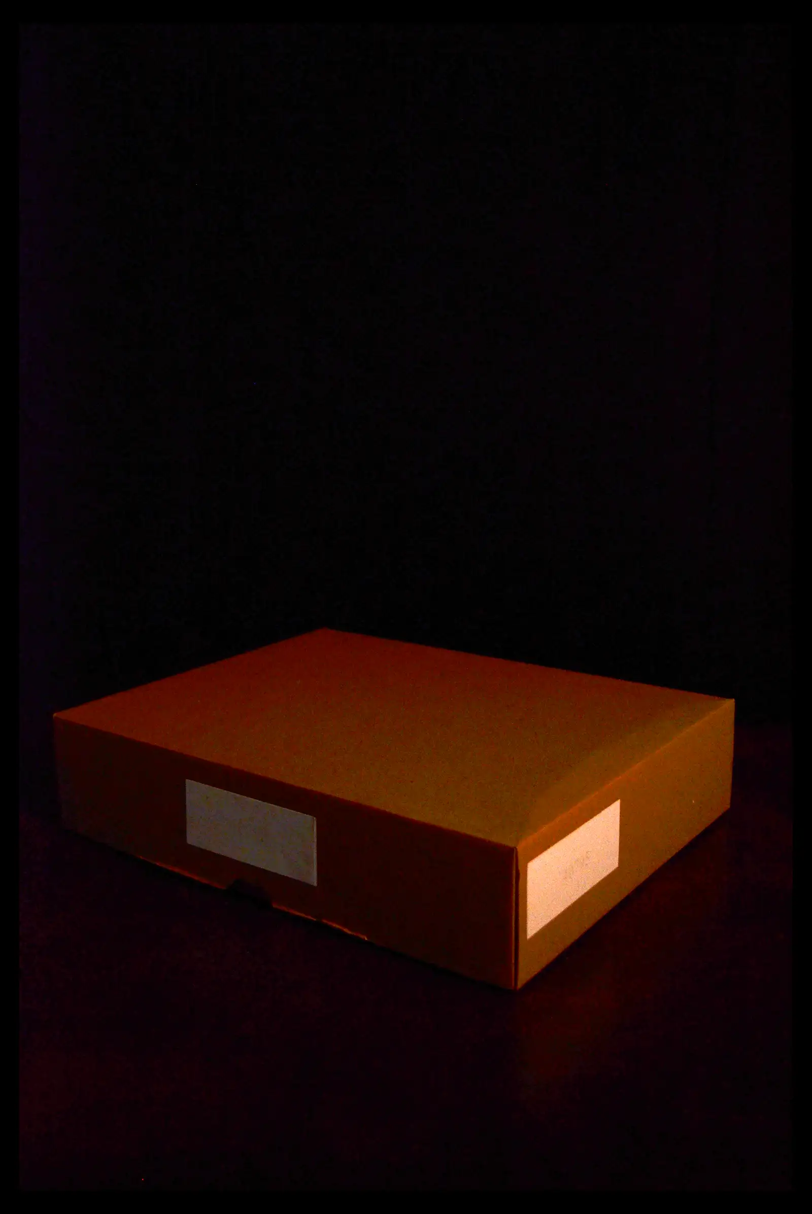 41027 0020