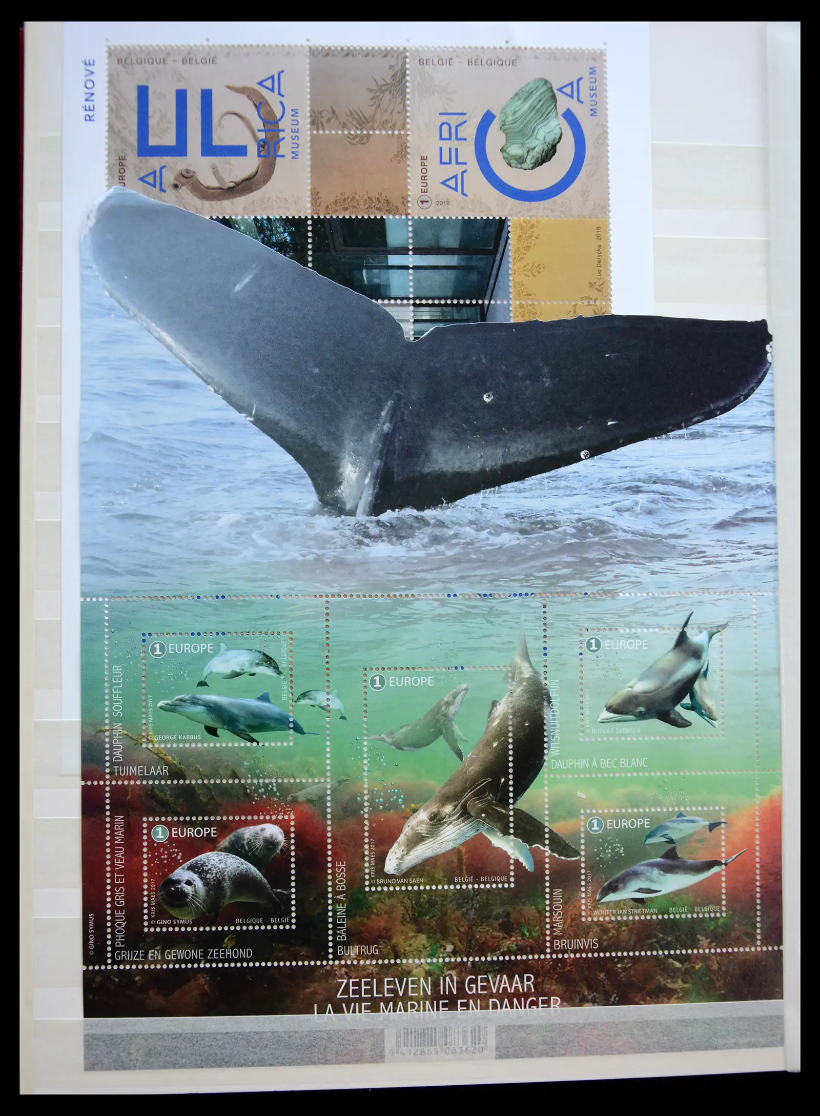 41104 0022 - Stamp collection 41104 Belgium modern sheetlets mnh 2010-2021!