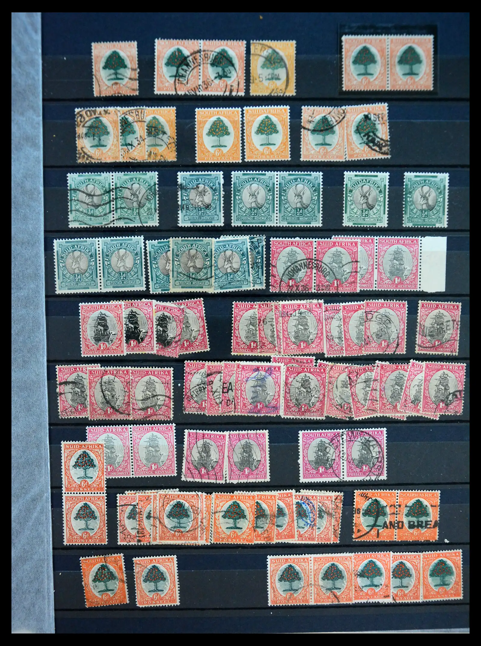 41168 0003