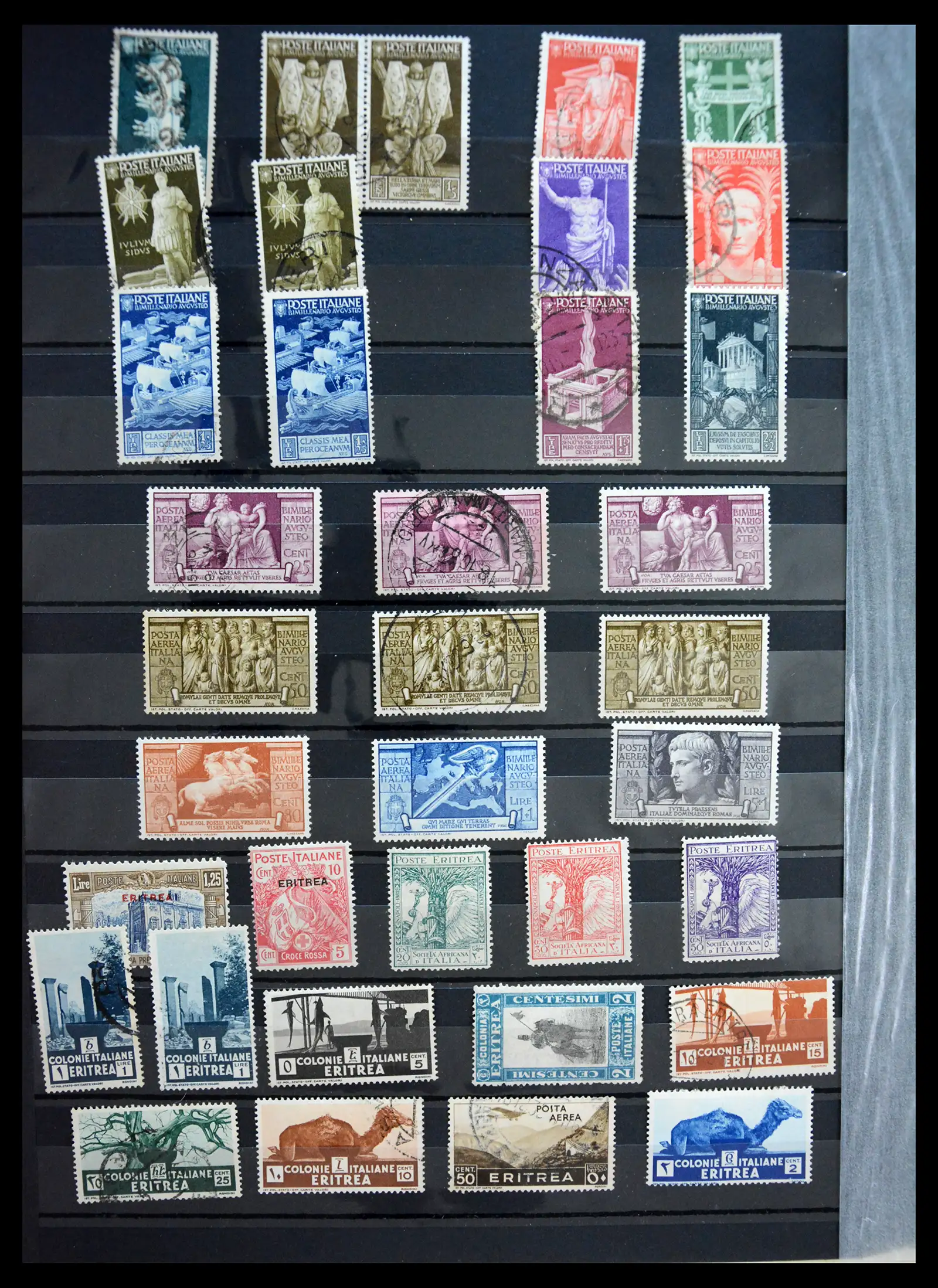 41176 0007