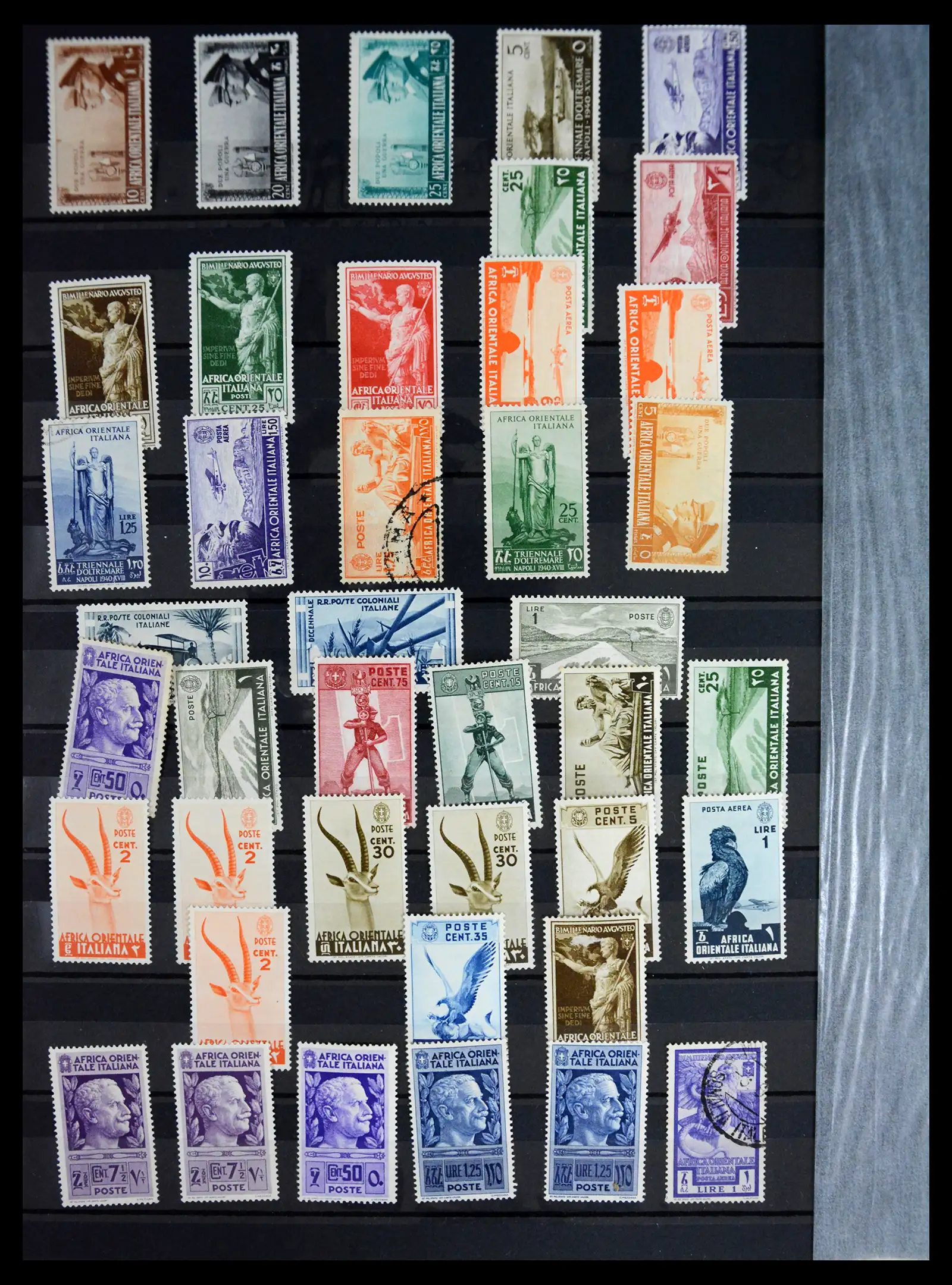 41176 0017