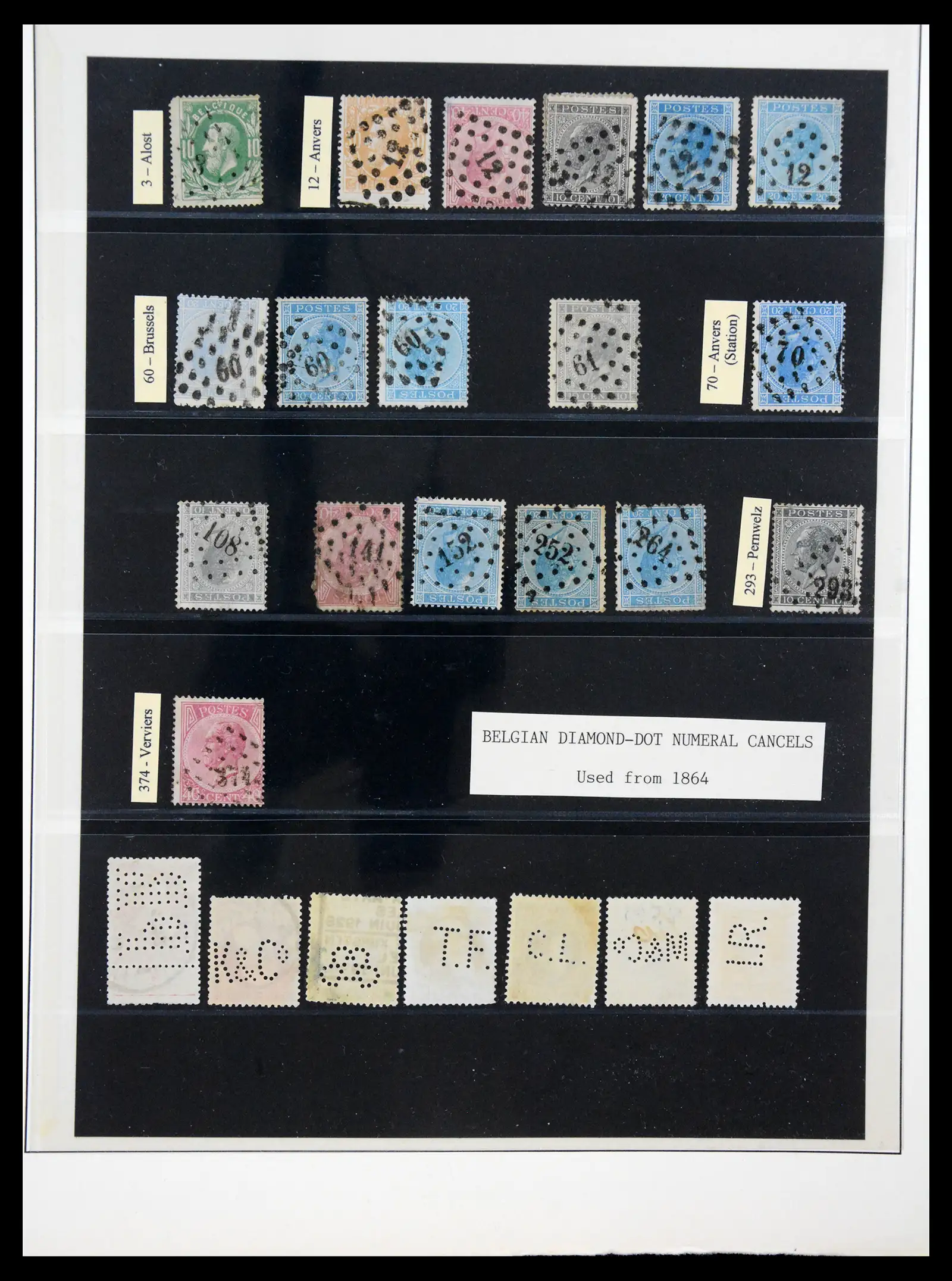 41180 0035 - Postzegelverzameling 41180 België en Congo 1849-1950.