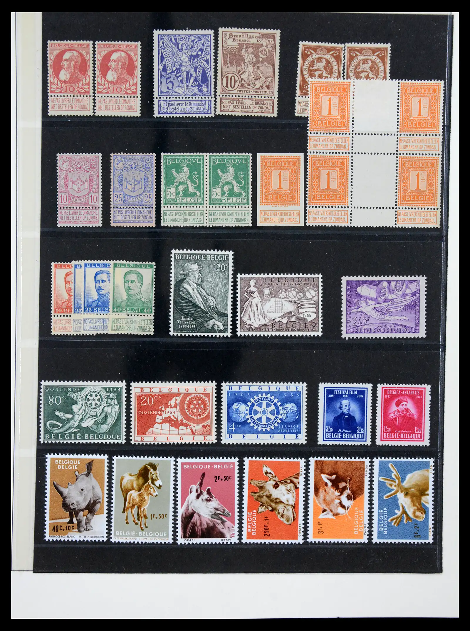 41180 0040 - Postzegelverzameling 41180 België en Congo 1849-1950.