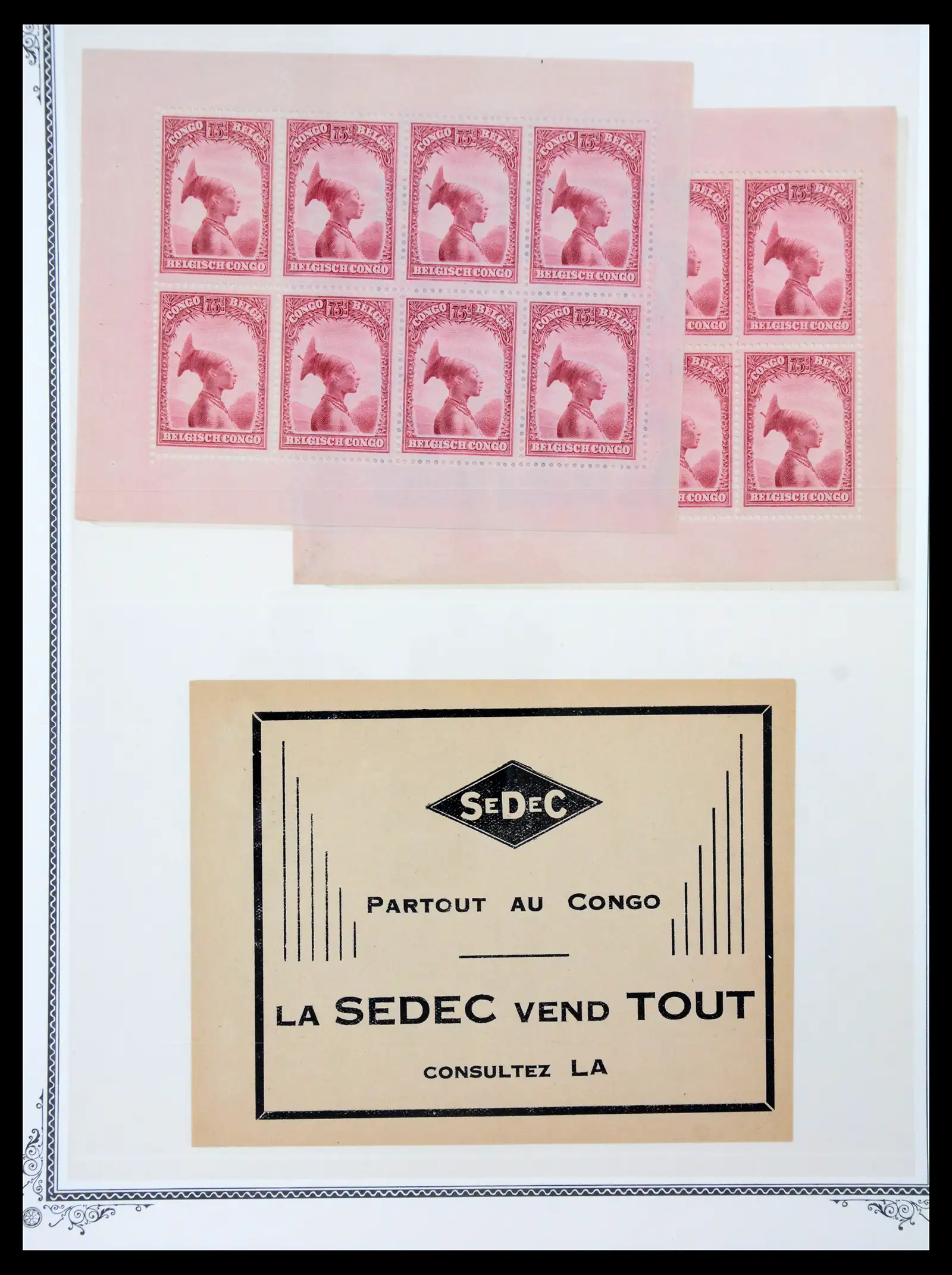 41180 0073 - Postzegelverzameling 41180 België en Congo 1849-1950.