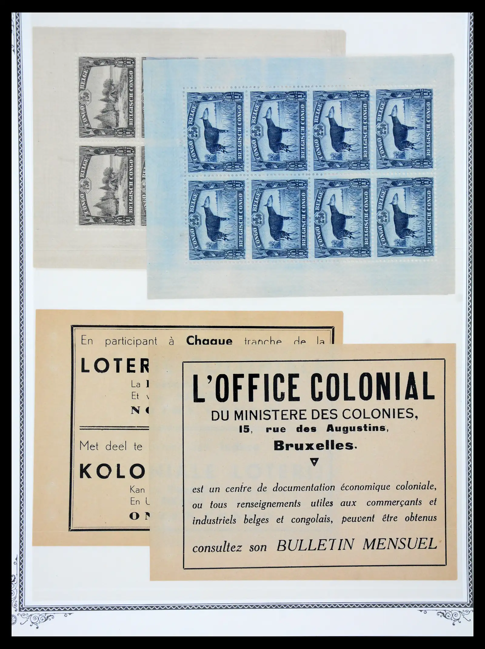 41180 0075 - Postzegelverzameling 41180 België en Congo 1849-1950.