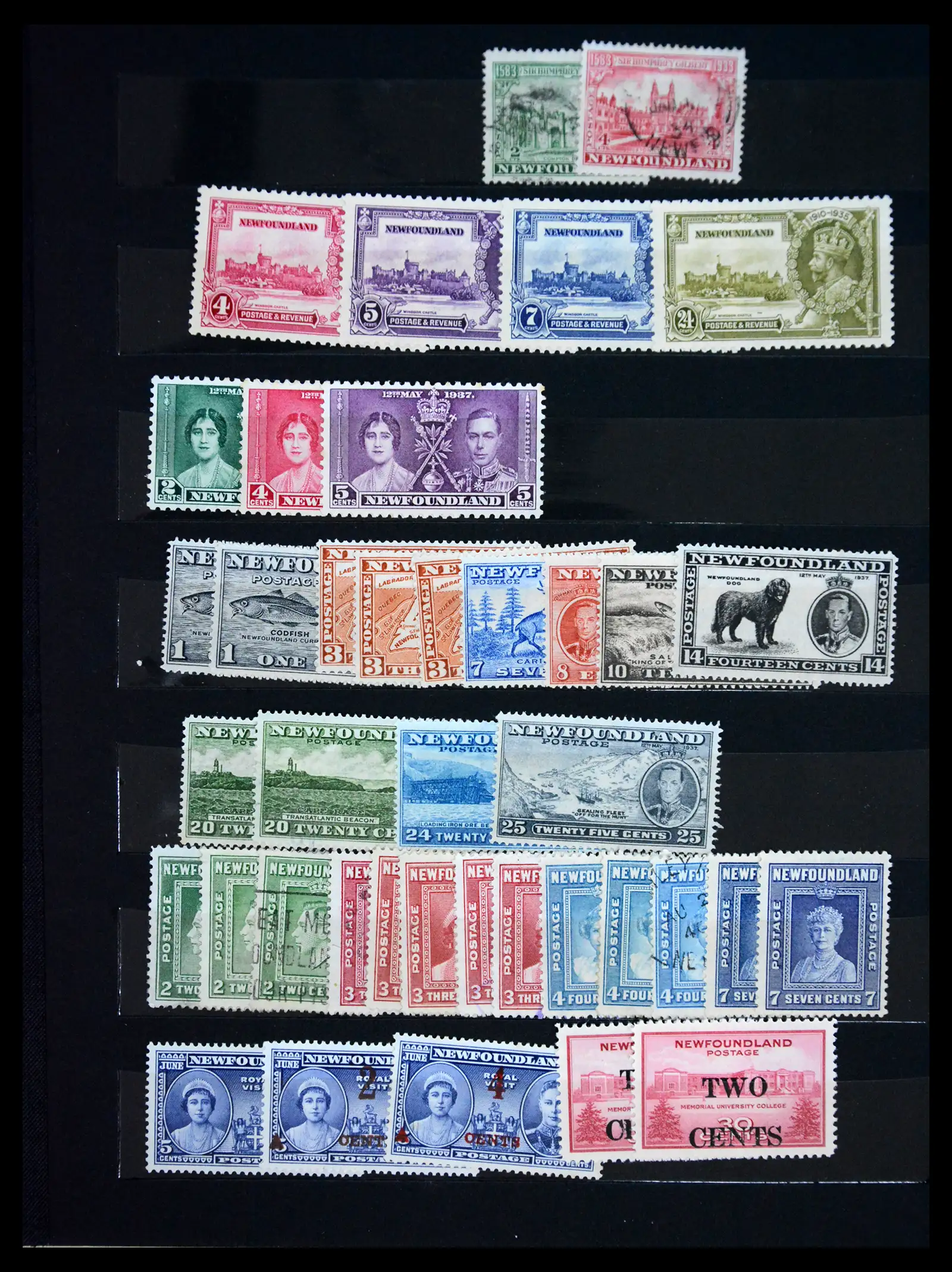 41202 0030