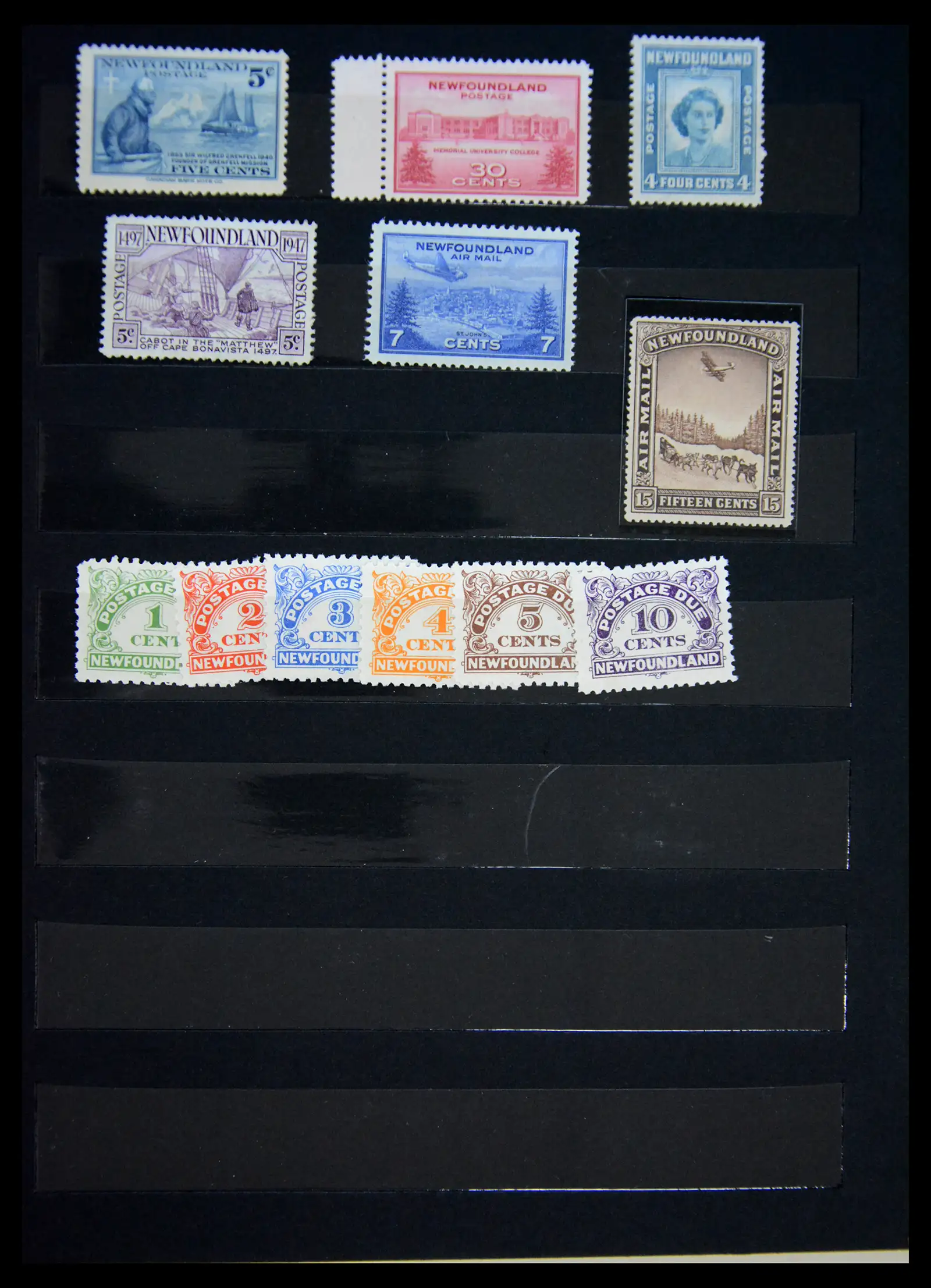 41202 0031