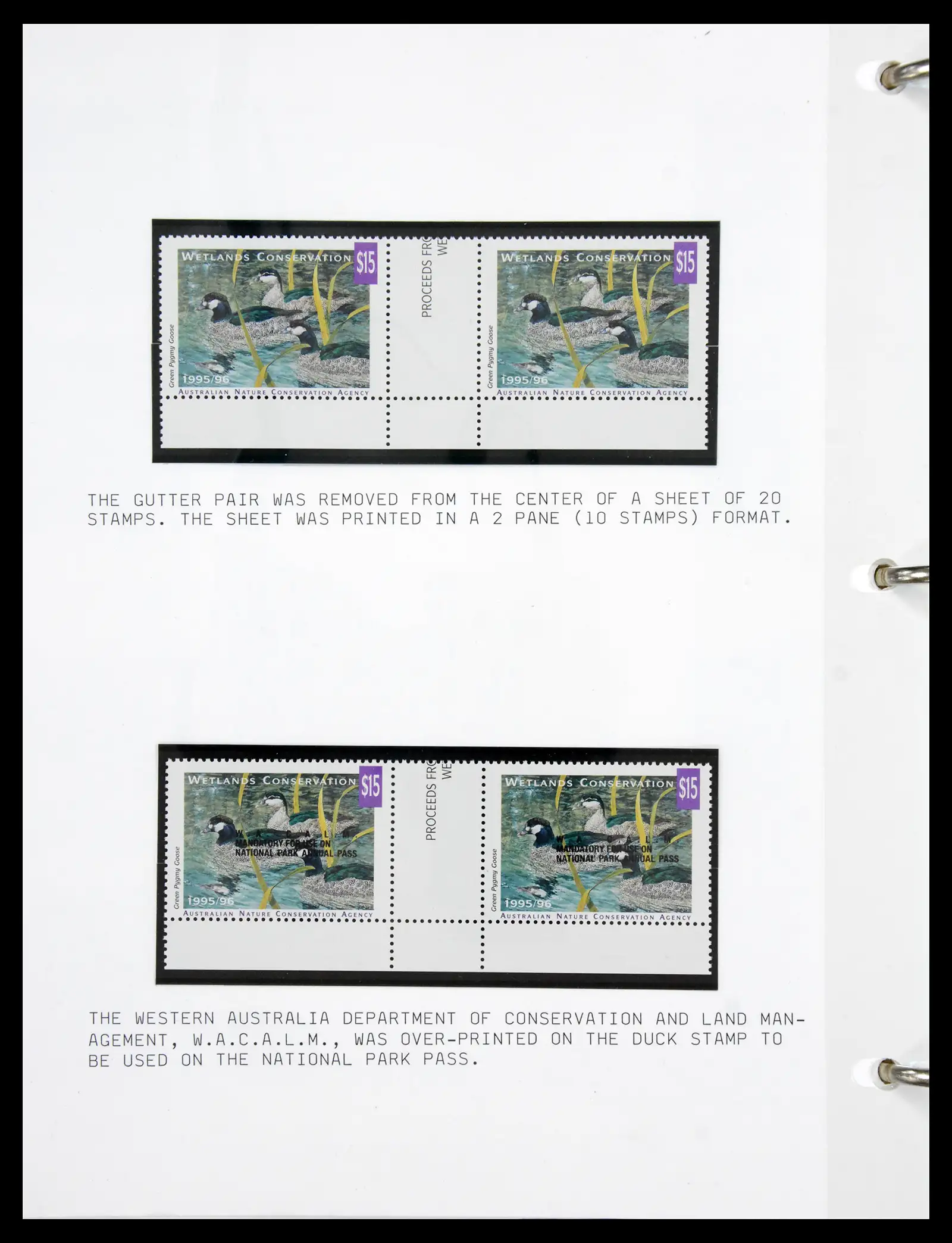 41219 0061