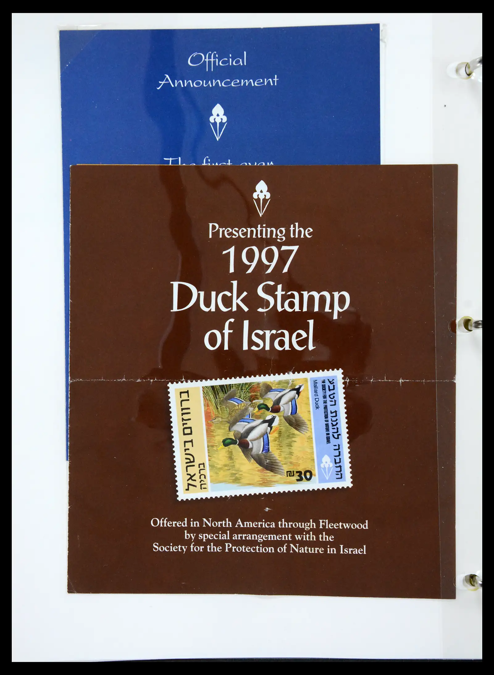 41219 0099