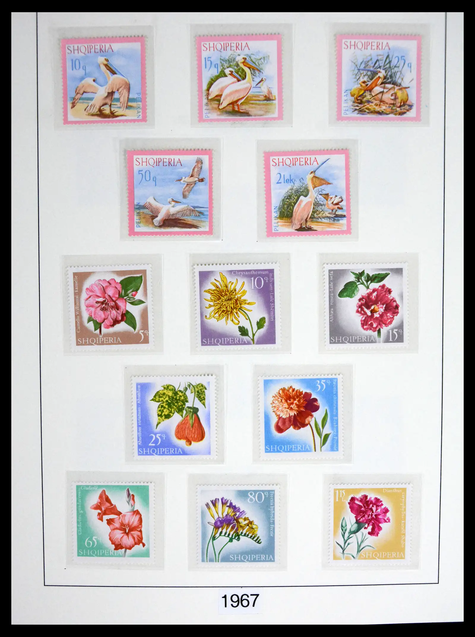 41221 0039 - Stamp collection 41221 Albania 1963-2005.