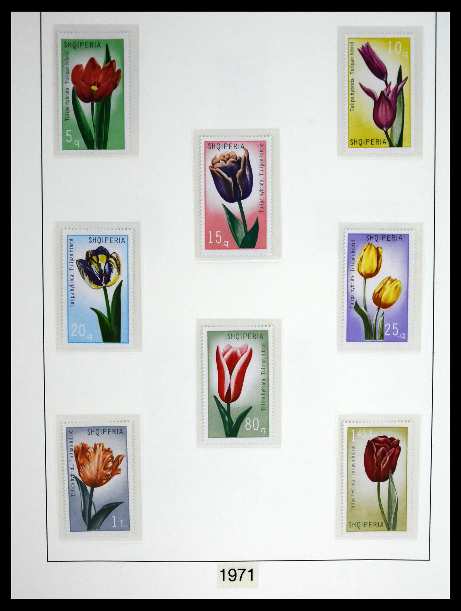 41221 0072 - Stamp collection 41221 Albania 1963-2005.