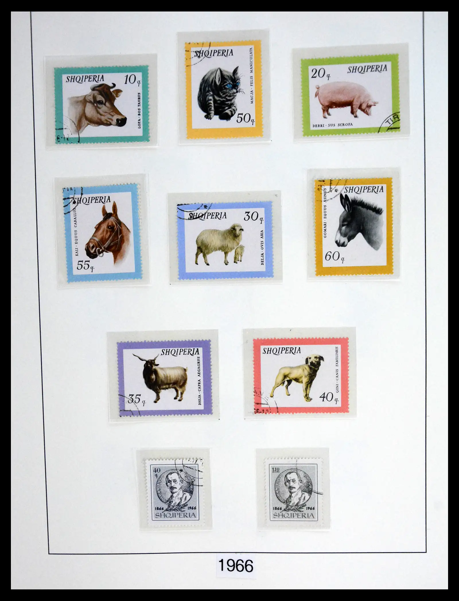 41222 0067 - Stamp collection 41222 Albania used 1913-1980.