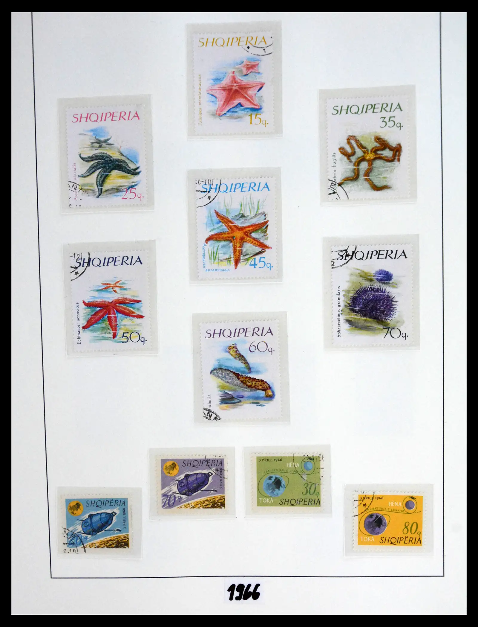 41222 0069 - Stamp collection 41222 Albania used 1913-1980.