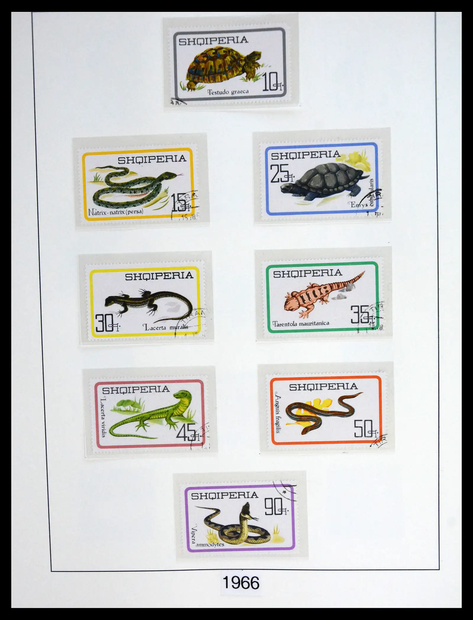 41222 0071 - Stamp collection 41222 Albania used 1913-1980.