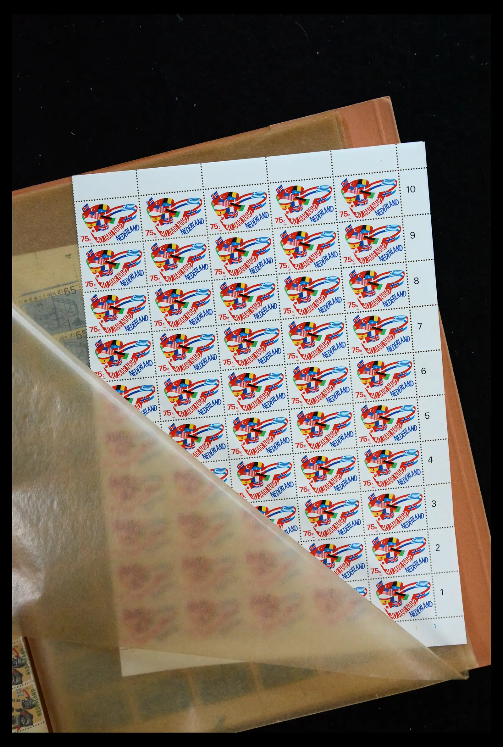 41291 0081