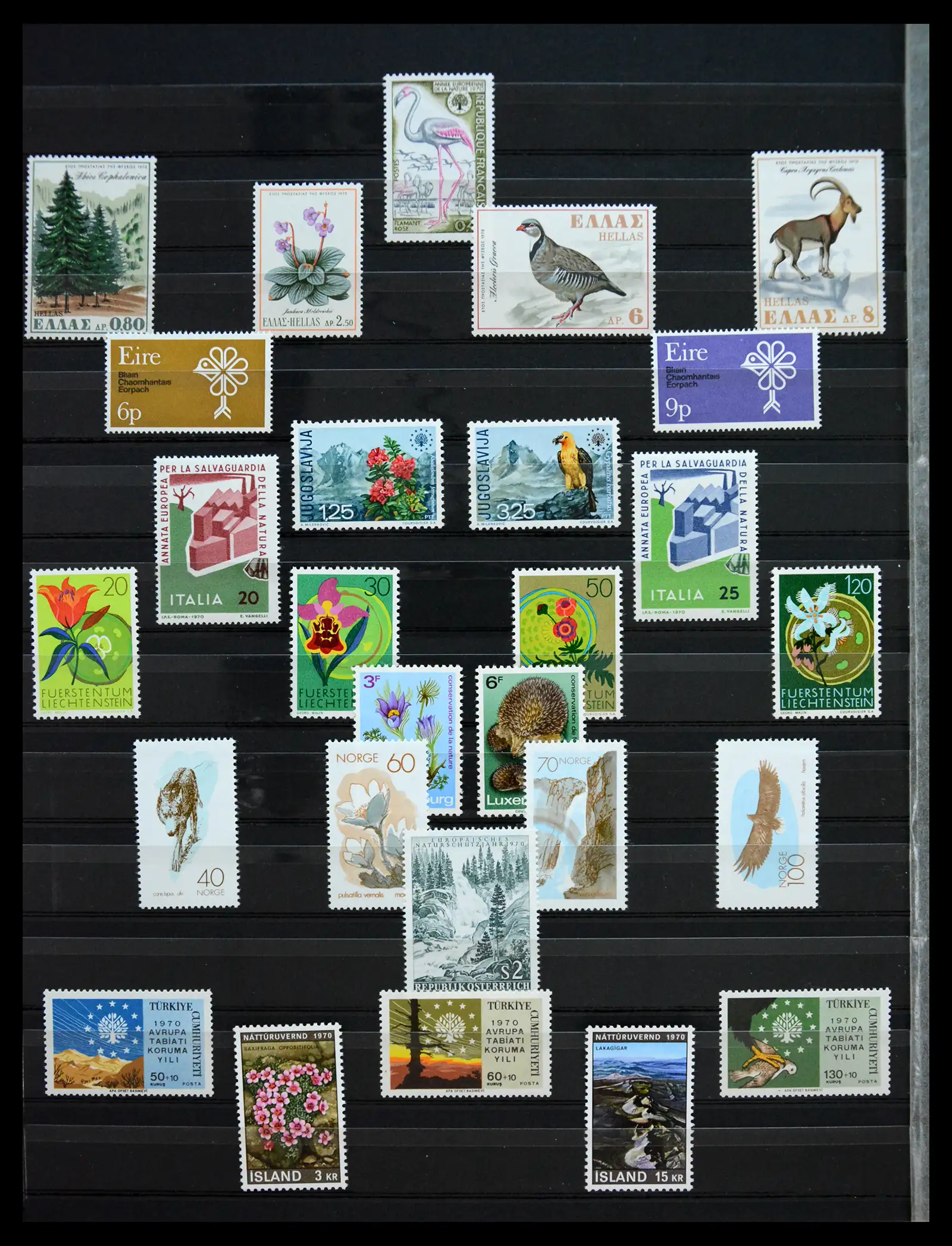 41303 0024 - Stamp collection 41303 Europa Cept 1956-2000.