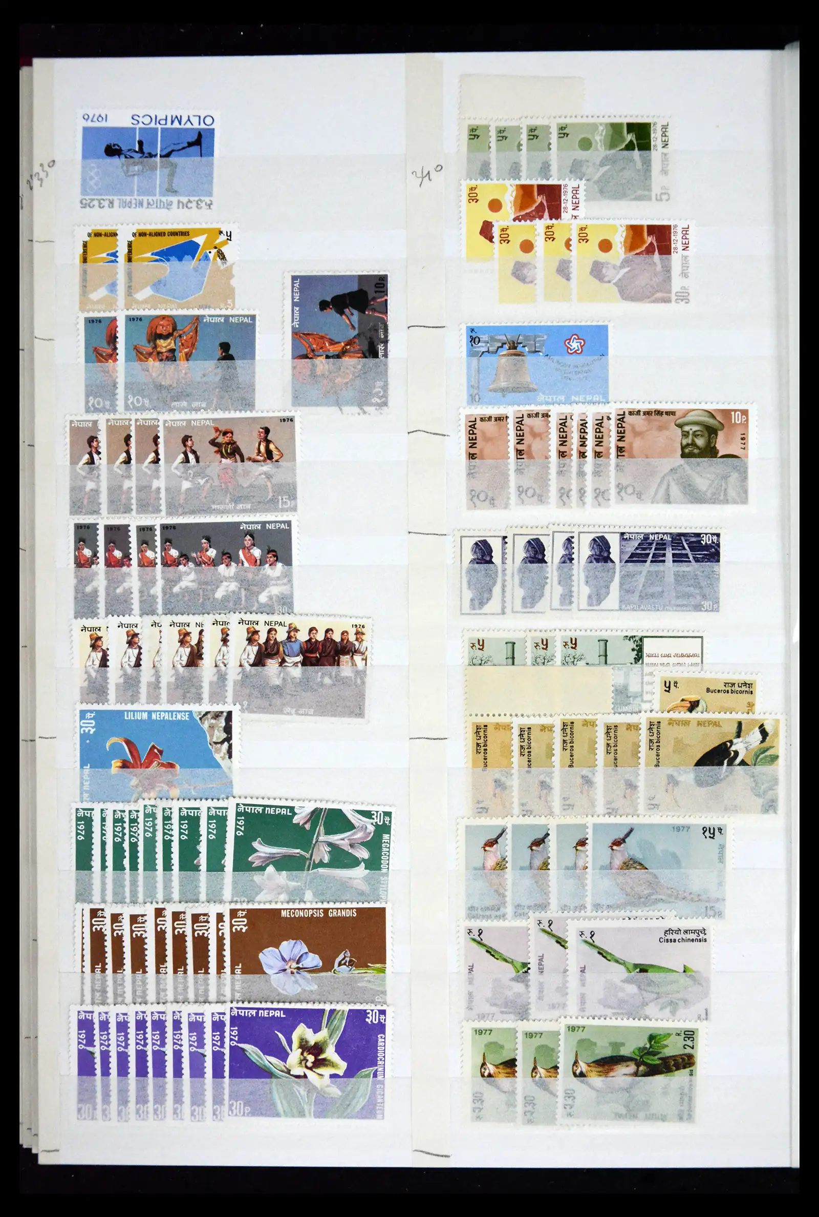 41451 0019 - Stamp collection 41451 Nepal 1881-2011.