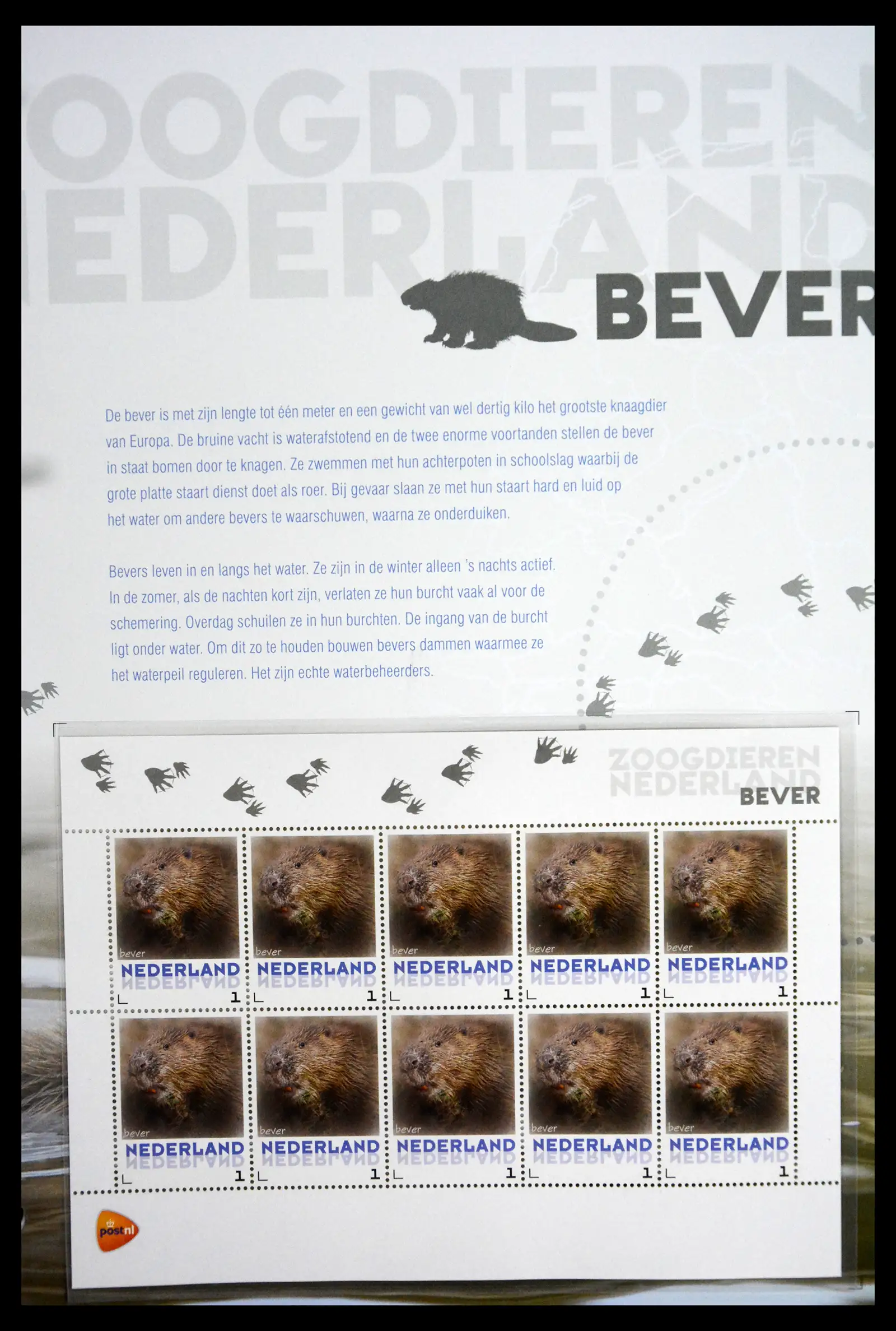 41511 0001 - Stamp collection 41511 Mammals in the Netherlands.