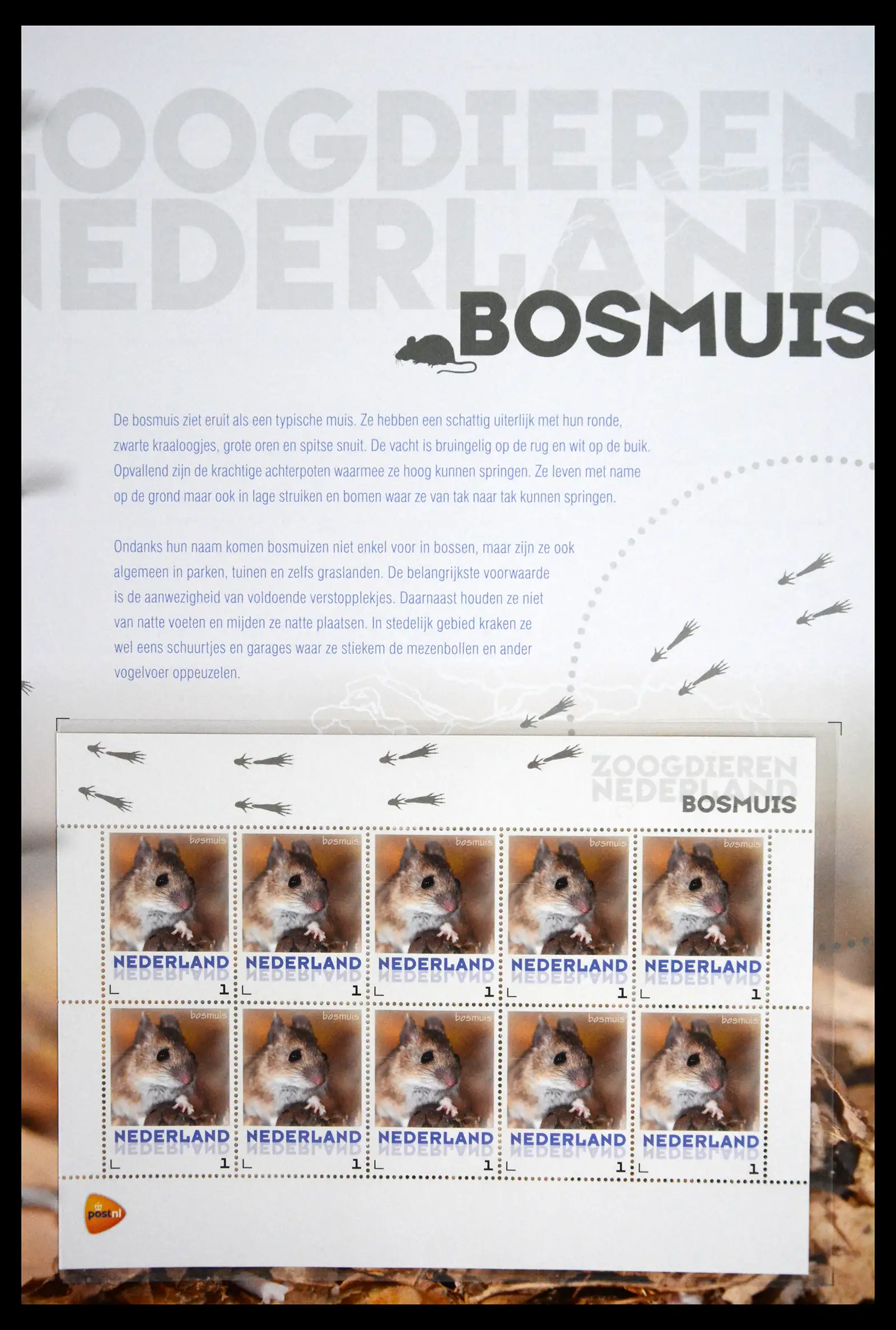 41511 0003 - Stamp collection 41511 Mammals in the Netherlands.