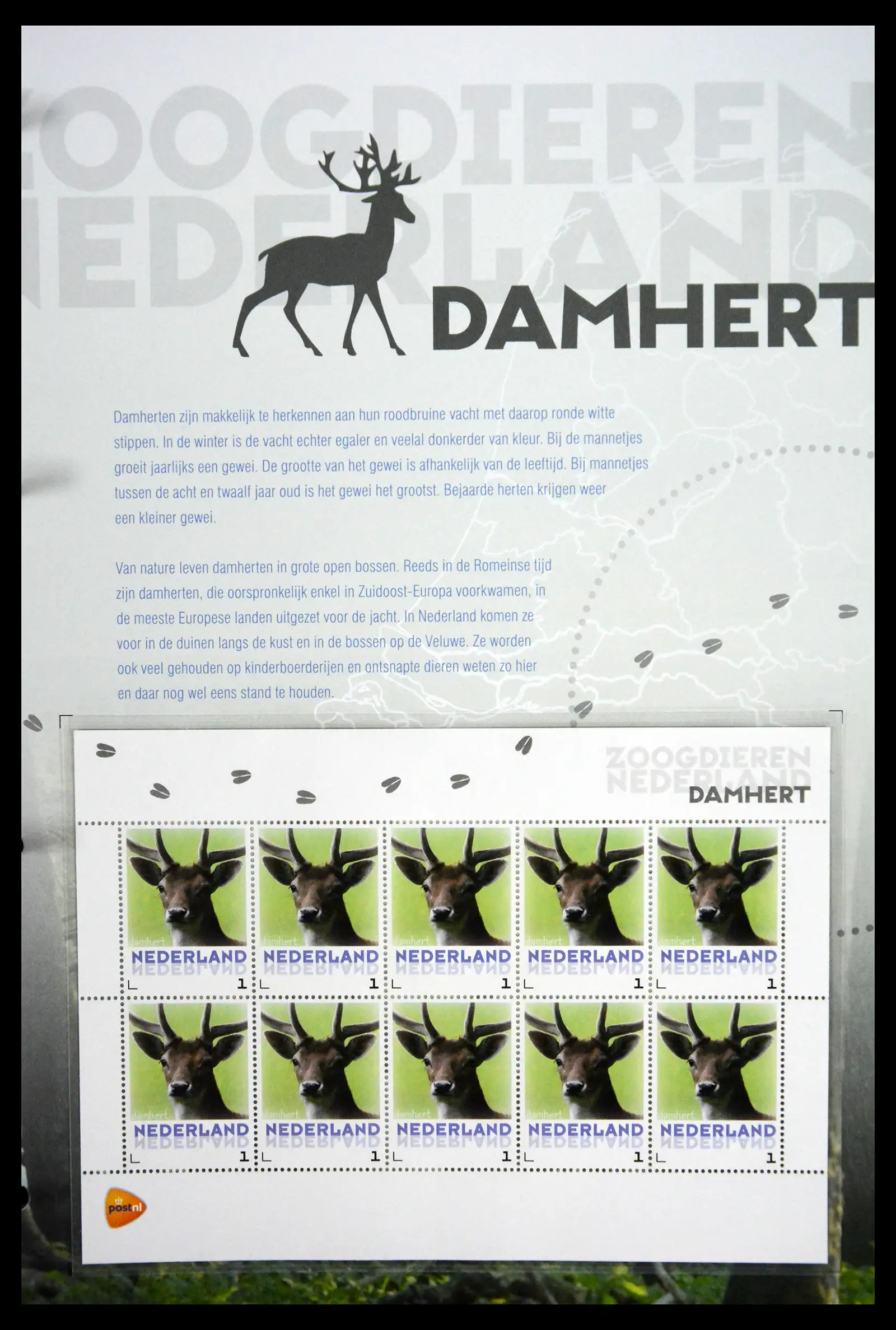 41511 0007 - Stamp collection 41511 Mammals in the Netherlands.