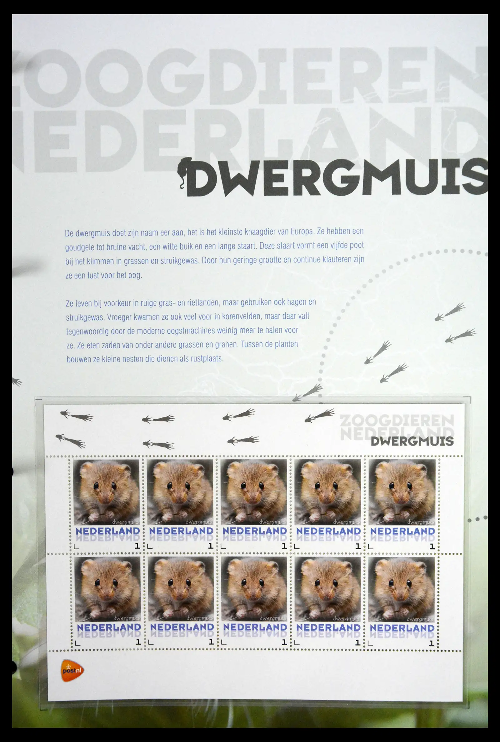 41511 0009 - Stamp collection 41511 Mammals in the Netherlands.