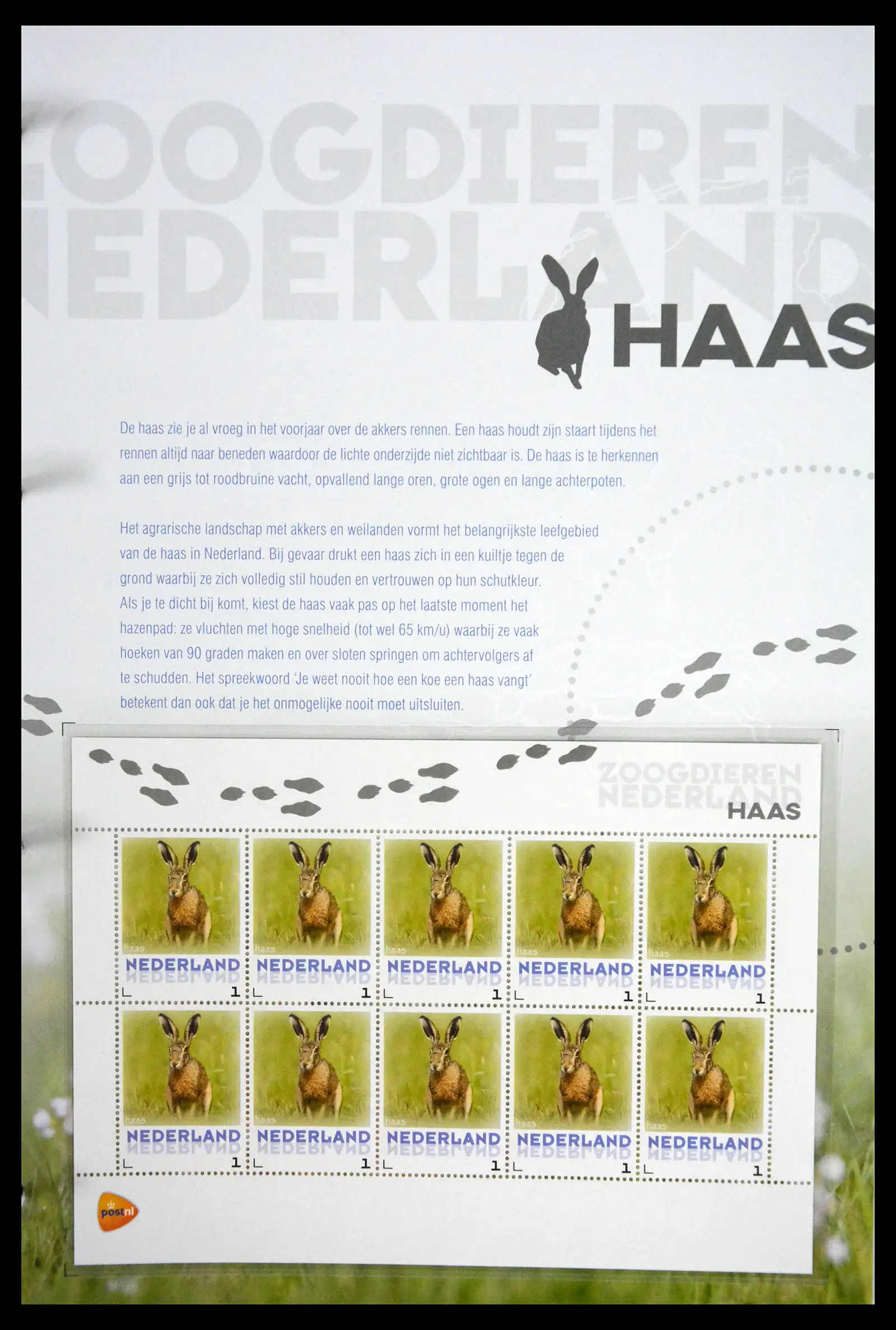 41511 0017 - Stamp collection 41511 Mammals in the Netherlands.