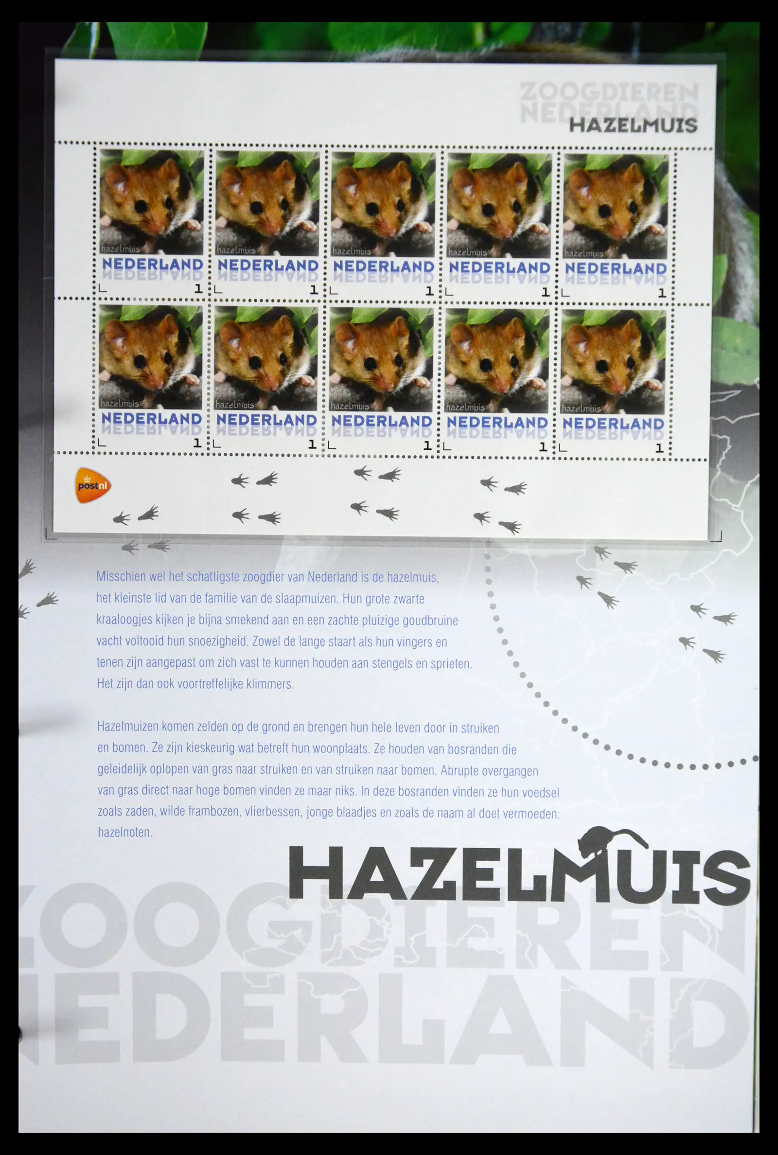 41511 0018 - Stamp collection 41511 Mammals in the Netherlands.