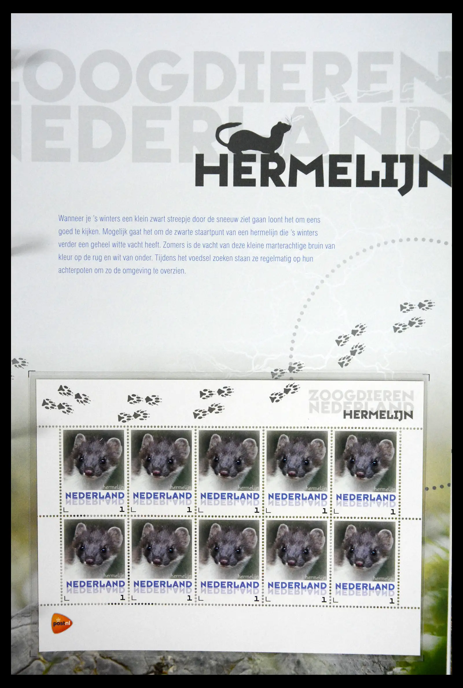 41511 0019 - Stamp collection 41511 Mammals in the Netherlands.