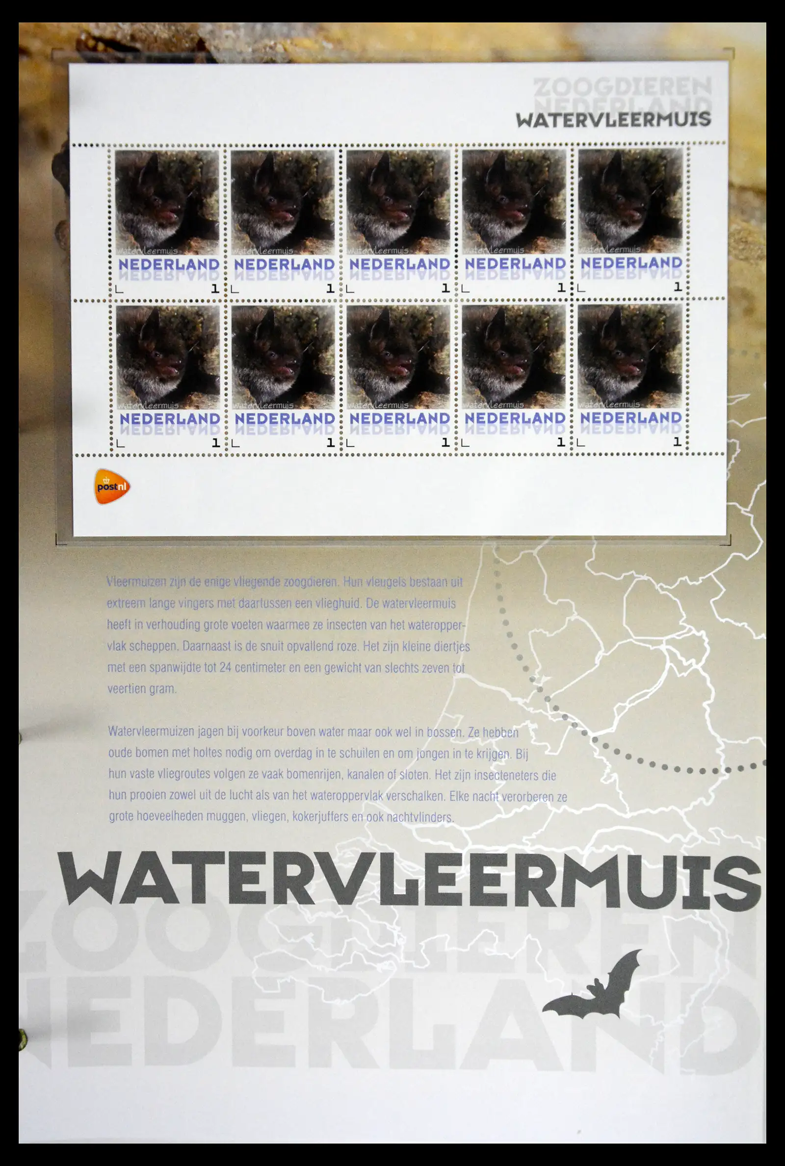 41511 0030 - Stamp collection 41511 Mammals in the Netherlands.