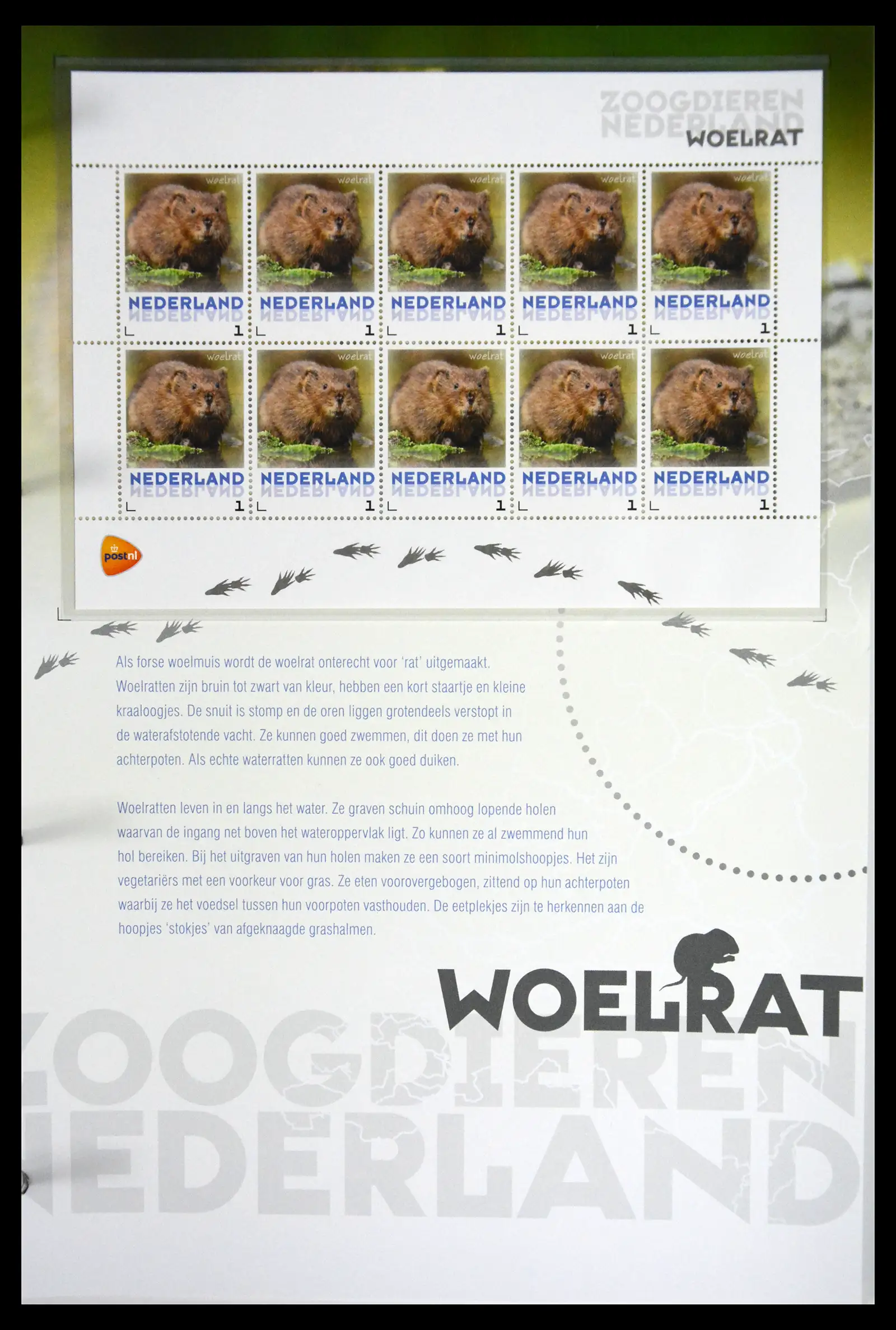 41511 0034 - Stamp collection 41511 Mammals in the Netherlands.