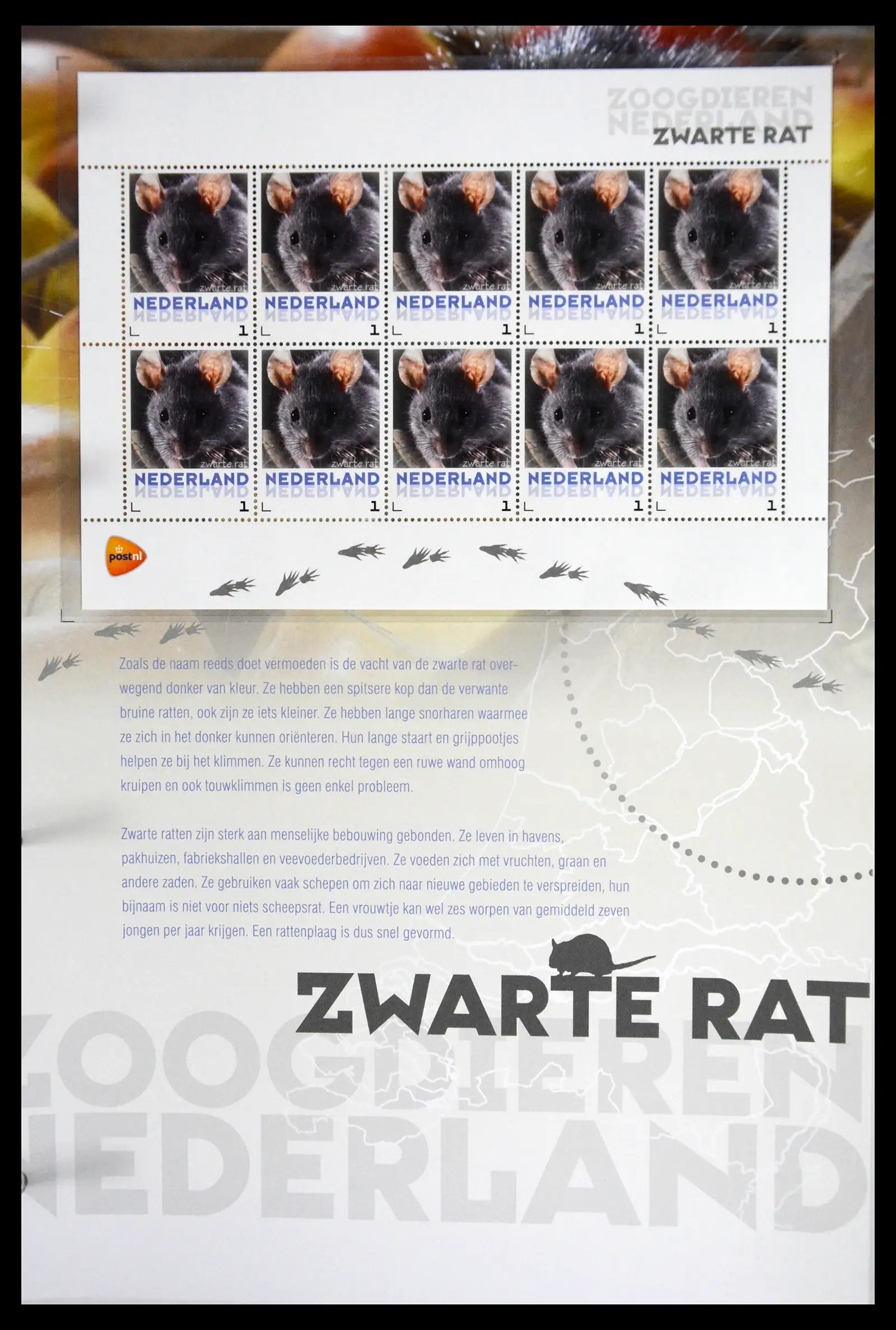 41511 0036 - Stamp collection 41511 Mammals in the Netherlands.
