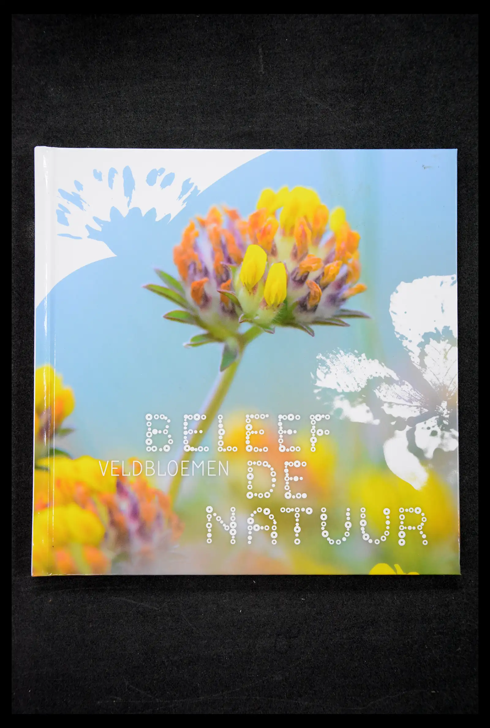 41516 0001 - Stamp collection 41516 Netherlands personalised stamps till 2025!!