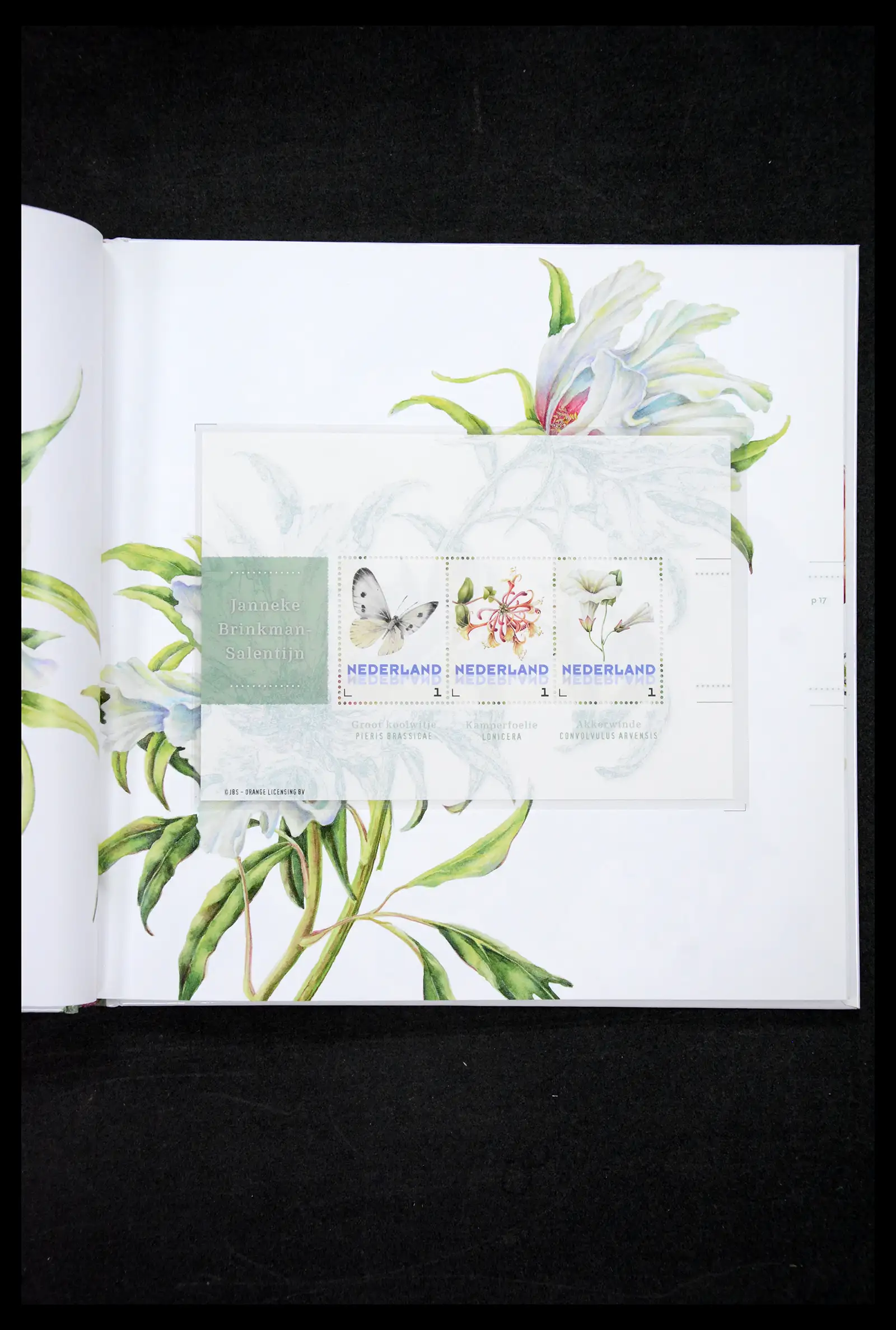 41516 0005 - Stamp collection 41516 Netherlands personalised stamps till 2025!!