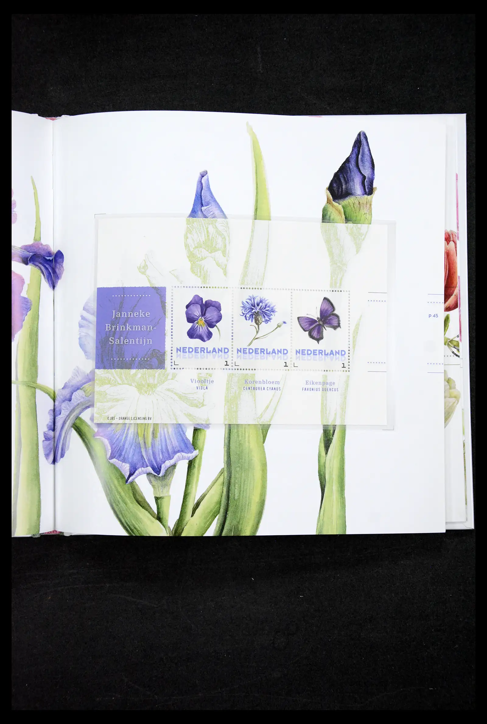 41516 0007 - Stamp collection 41516 Netherlands personalised stamps till 2025!!