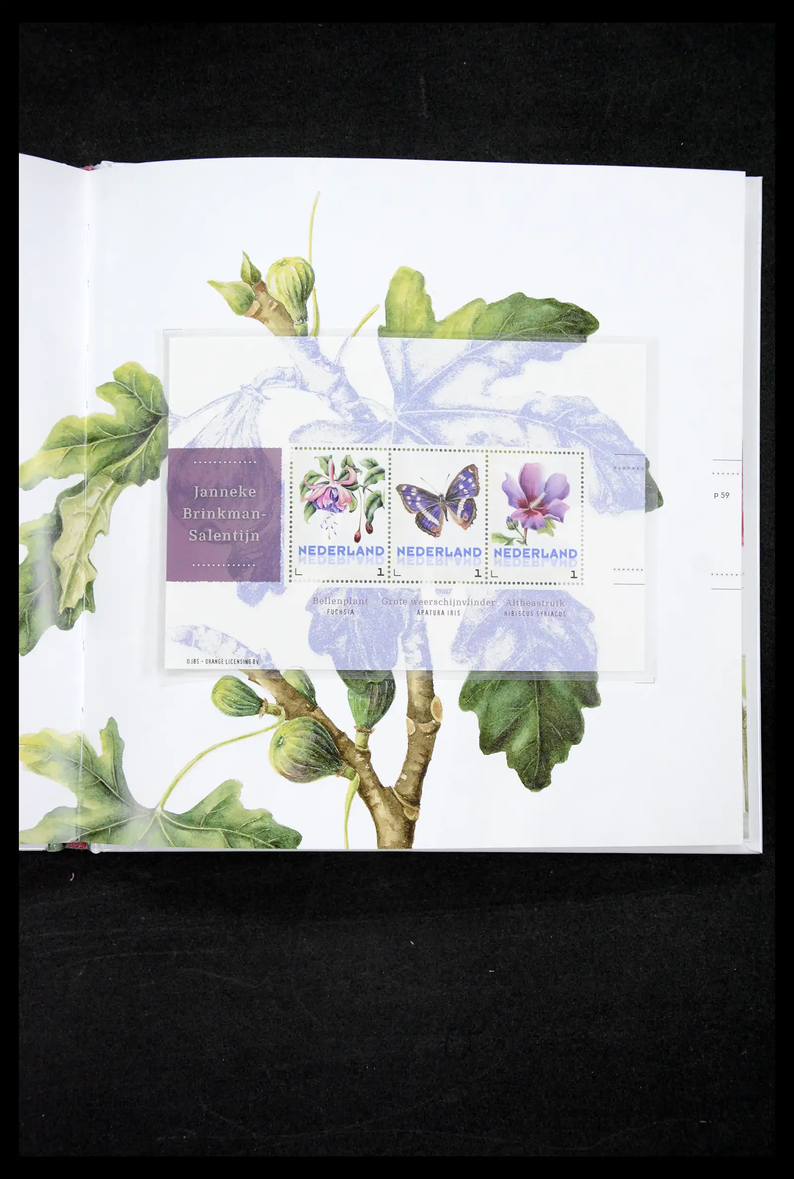 41516 0008 - Stamp collection 41516 Netherlands personalised stamps till 2025!!