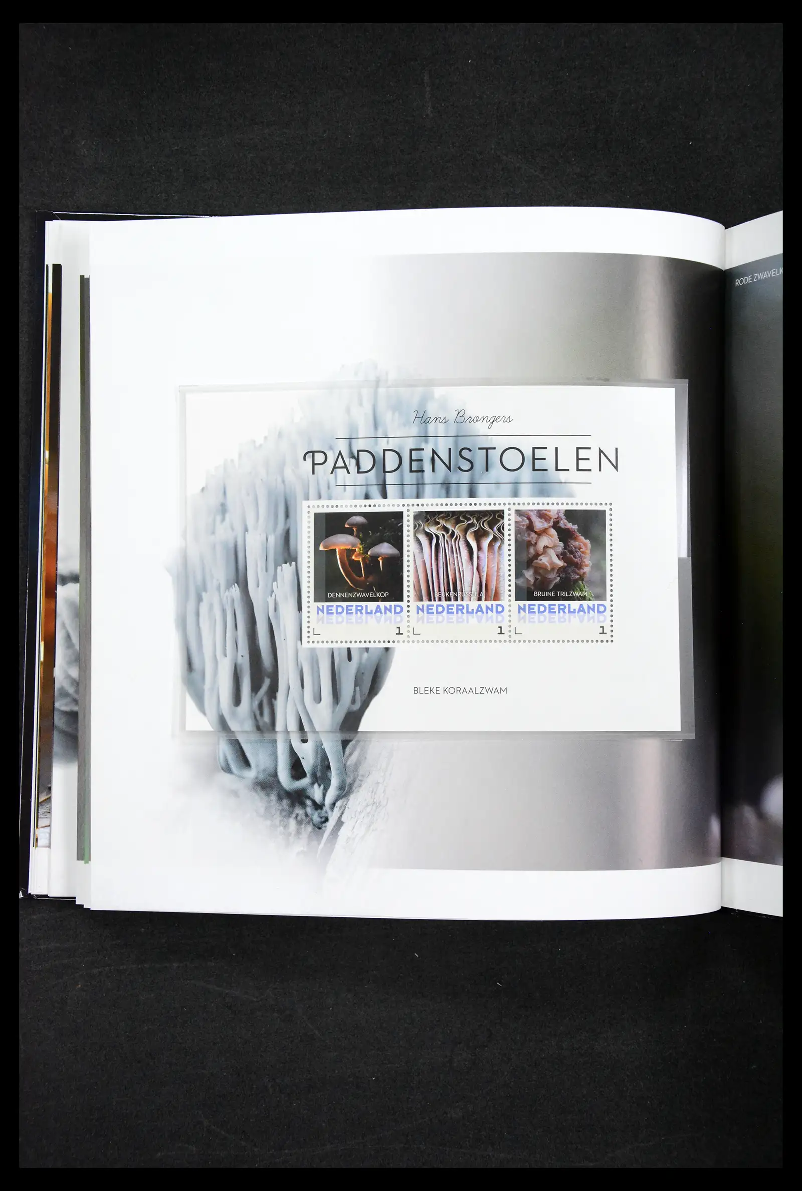 41516 0016 - Stamp collection 41516 Netherlands personalised stamps till 2025!!