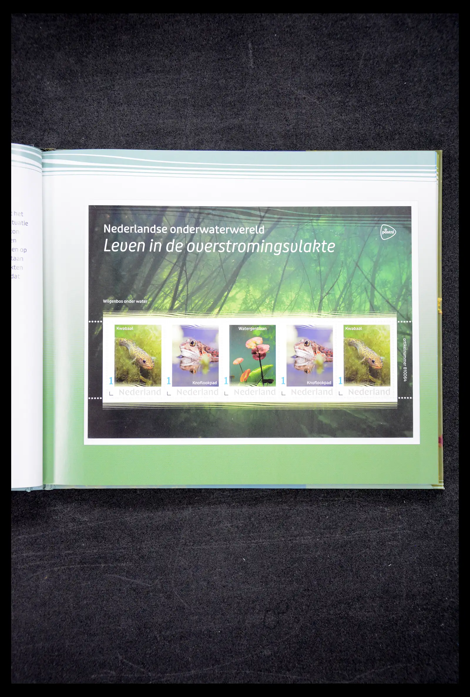 41516 0020 - Stamp collection 41516 Netherlands personalised stamps till 2025!!