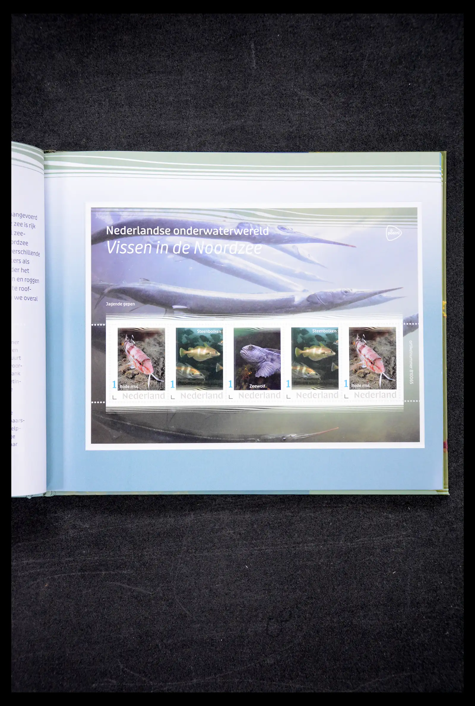 41516 0021 - Postzegelverzameling 41516 Nederland persoonlijke zegels t/m 2025!!