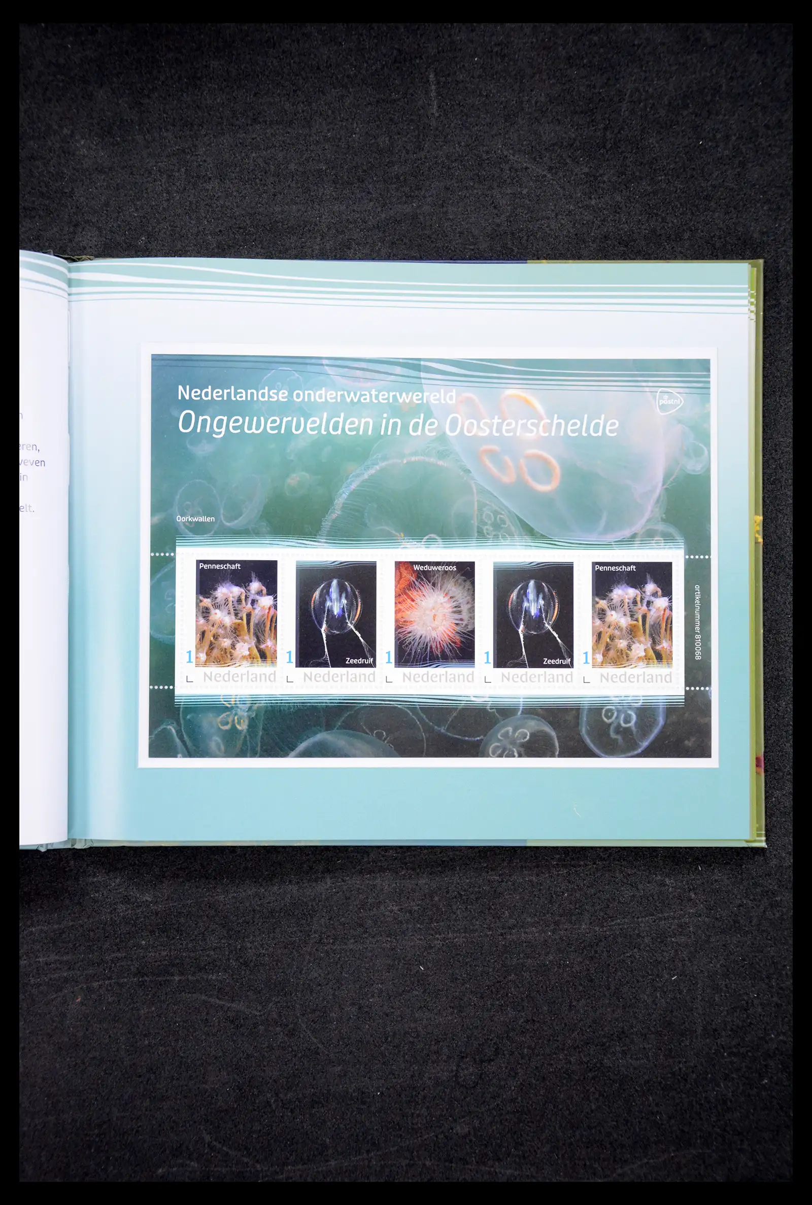 41516 0024 - Postzegelverzameling 41516 Nederland persoonlijke zegels t/m 2025!!